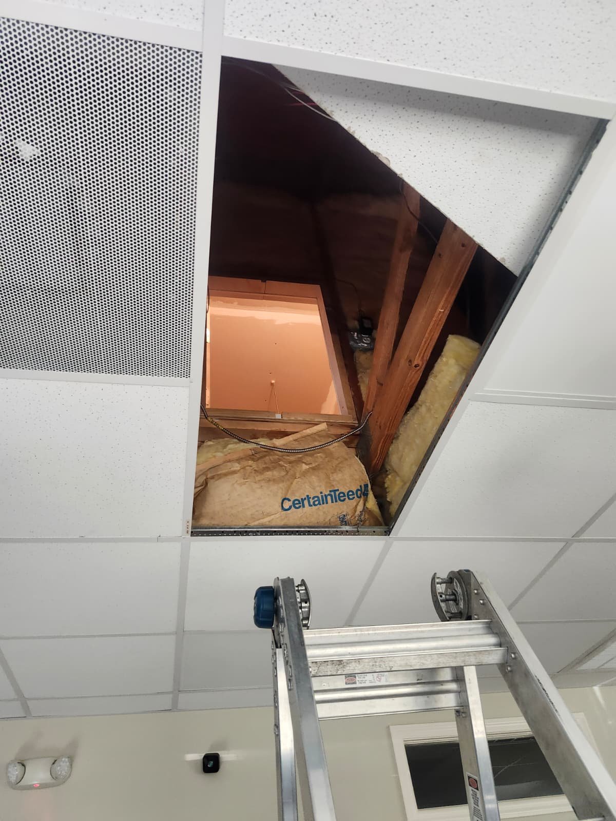 Open ceiling panel with ladder and visible insulation, New Port Richey, FL 34655.