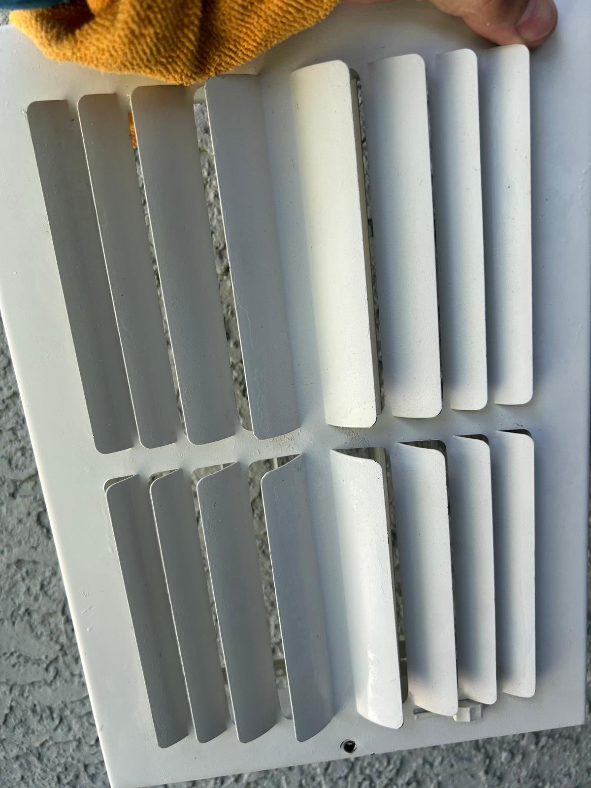 Clean air vent cover held by a person in Lutz, FL 33558.