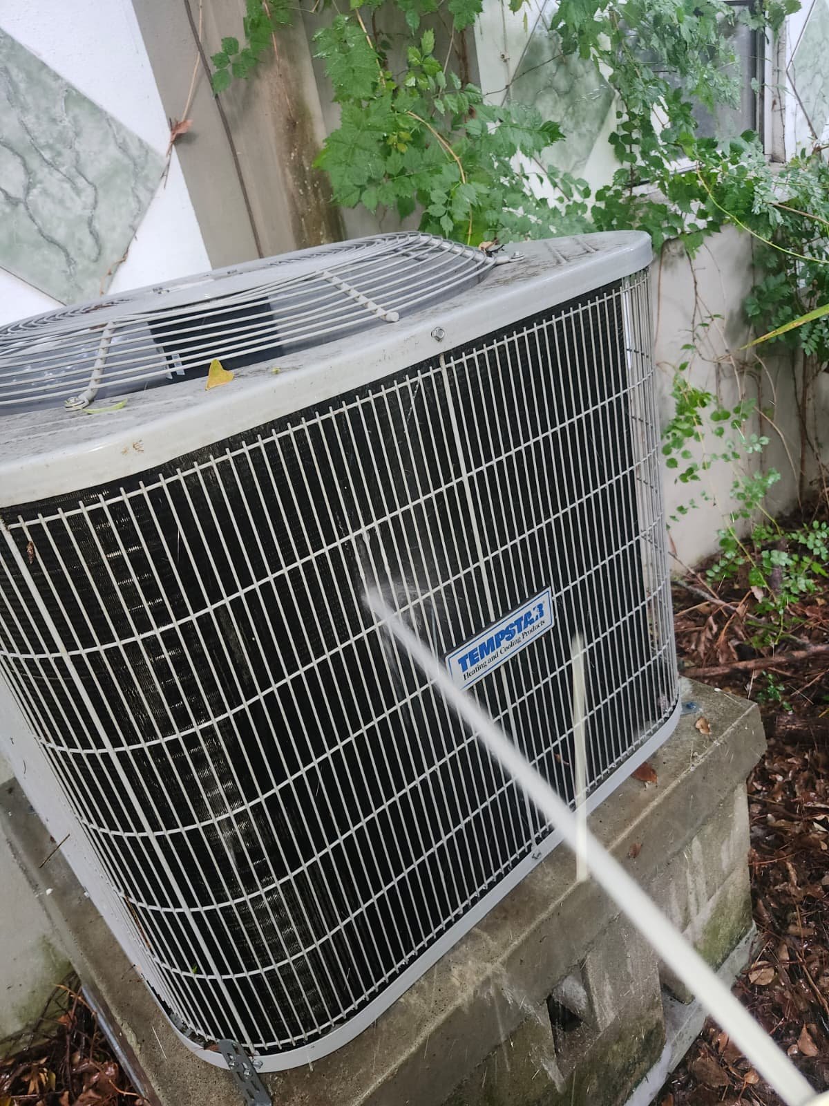 Cleaning Tempstar AC Unit - Tampa, FL 33604 Cleaning Tempstar AC unit with water hose at 1300 Alicia Avenue, Tampa, FL 33604.