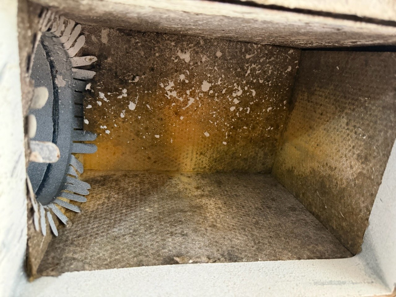 Dirty air duct interior with visible dust and debris in Lutz, FL 33558.