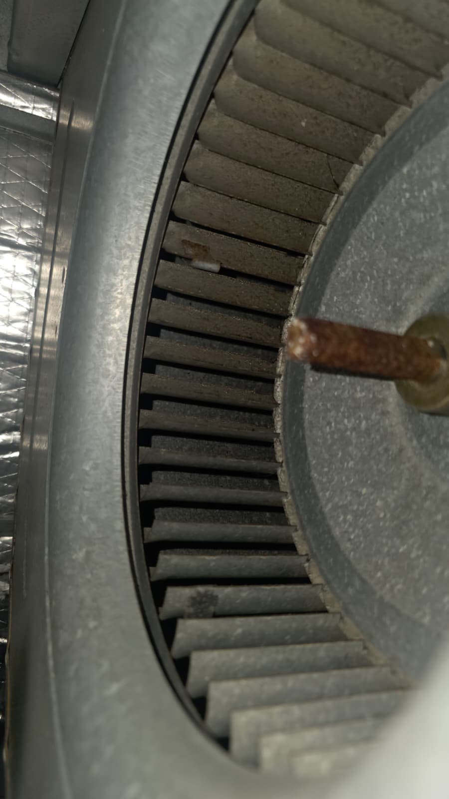 Close-up of dusty blower wheel inside HVAC unit in Tampa, FL 33611.