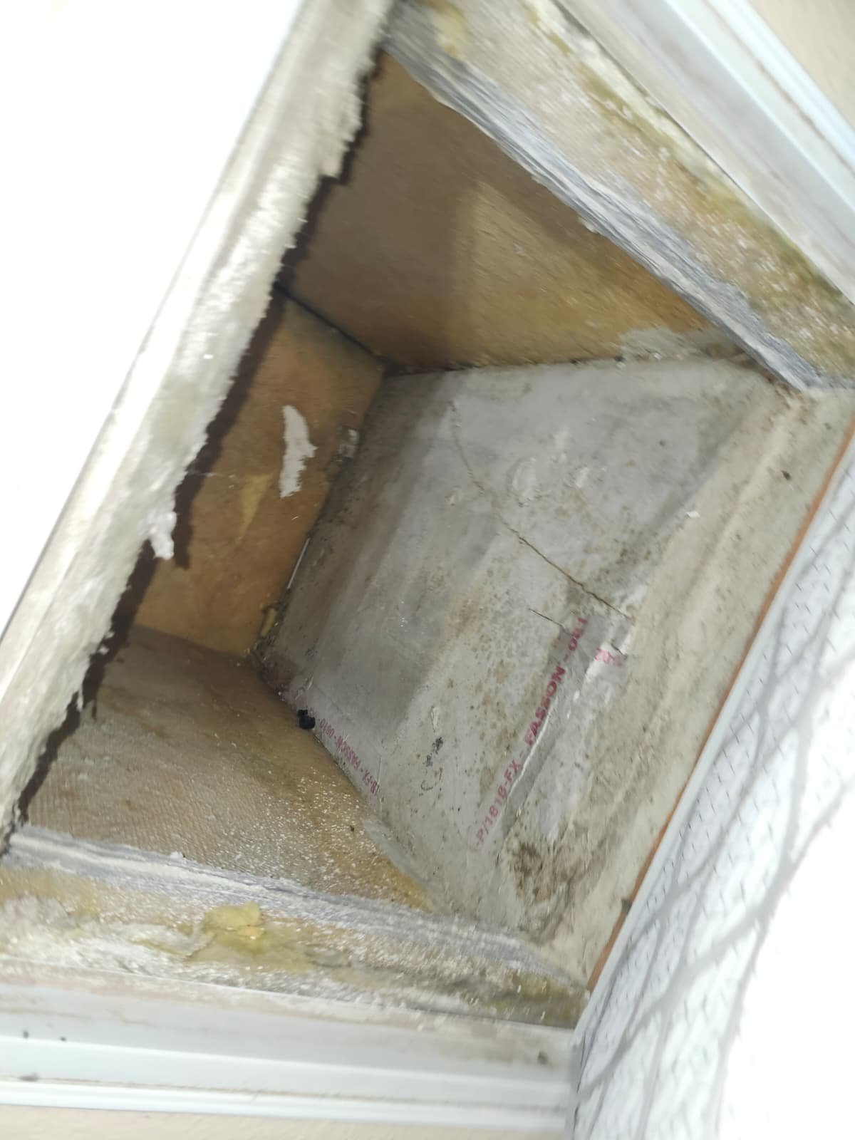 View of empty vent shaft with insulation in Lutz, FL 33558.