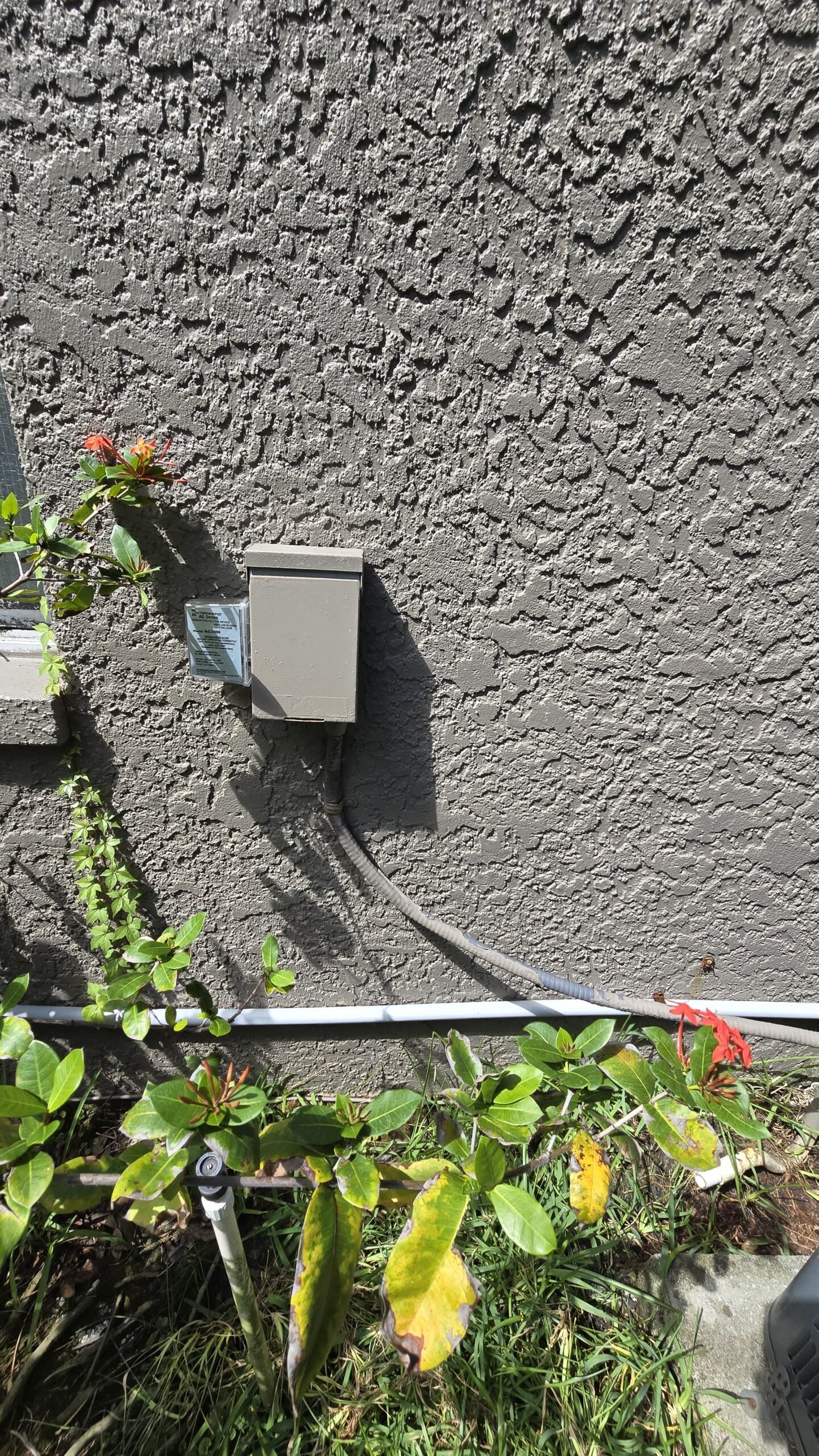 Electrical box mounted on exterior wall with plants, Oldsmar, FL 34677.