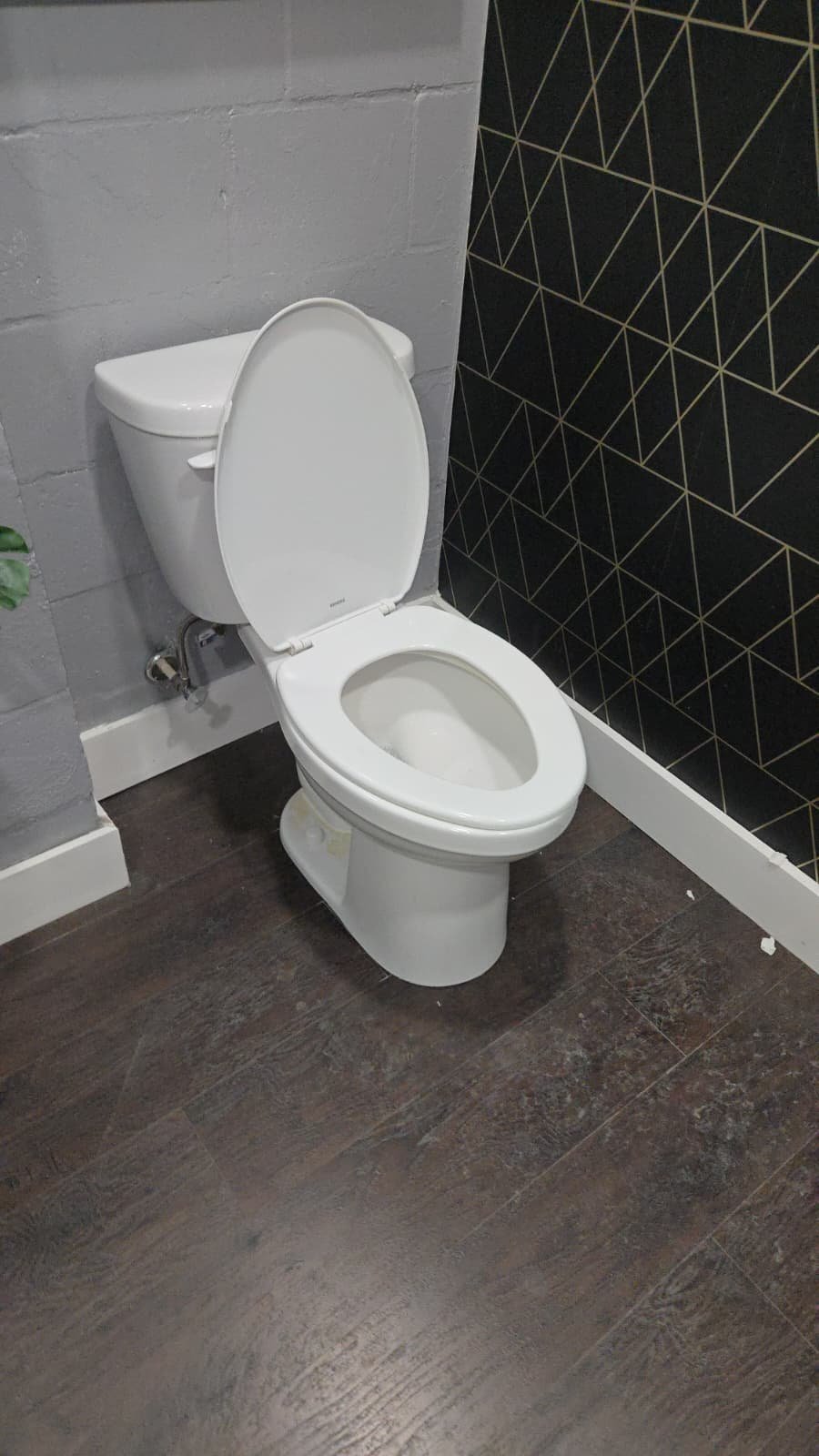 Bathroom with geometric wallpaper and plumbing service, Tampa, FL 33605.
