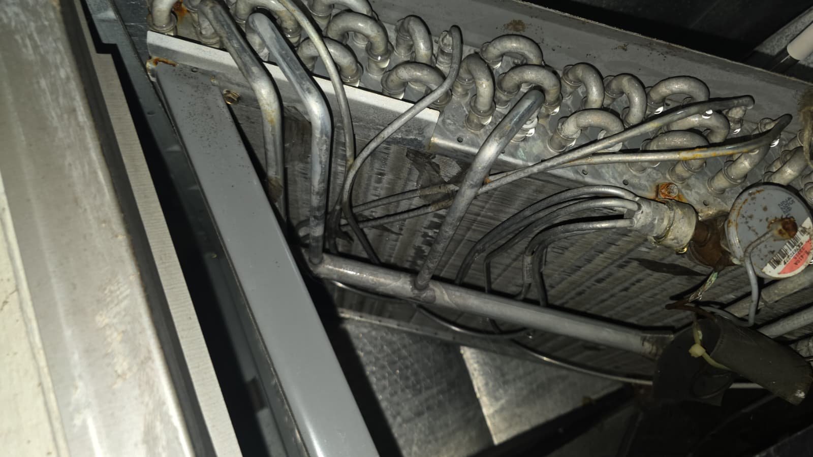 View of HVAC coils and piping inside unit in St. Petersburg, FL 33703.