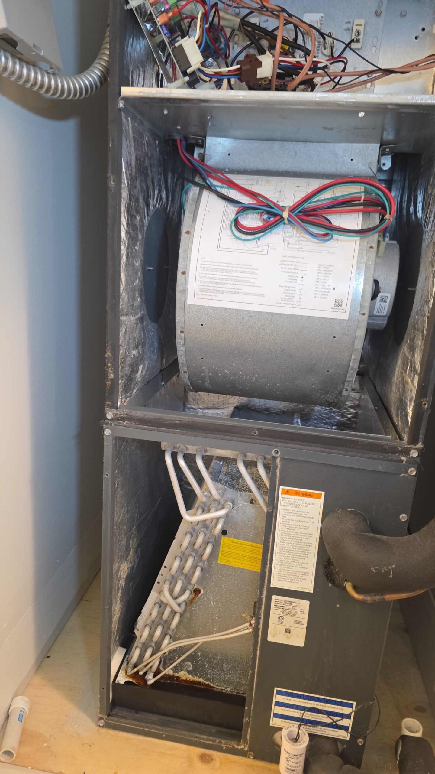 Interior view of HVAC system showing blower and coil during Premium Therapy Plan 2.0 in Palm Harbor, FL 34684.