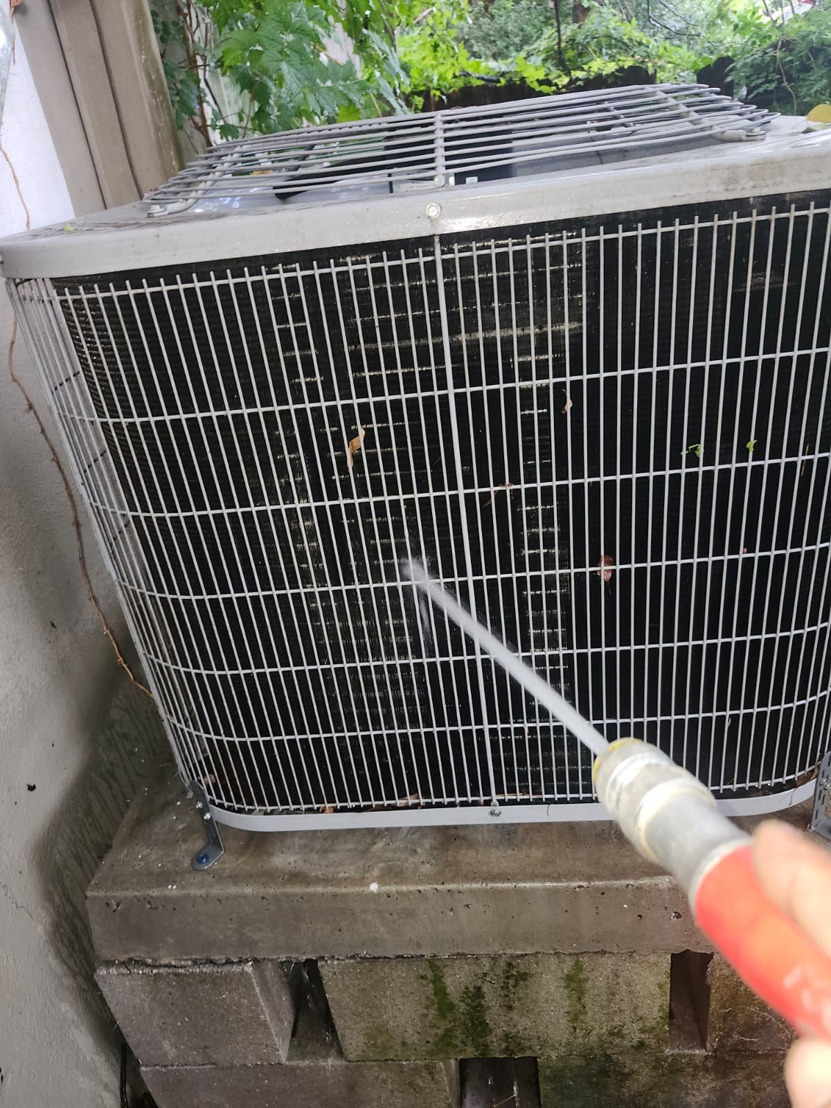 Outdoor AC Unit Cleaning - Tampa, FL 33604 Cleaning outdoor AC unit with hose at 1300 Alicia Avenue, Tampa, FL 33604 during Visit #3.