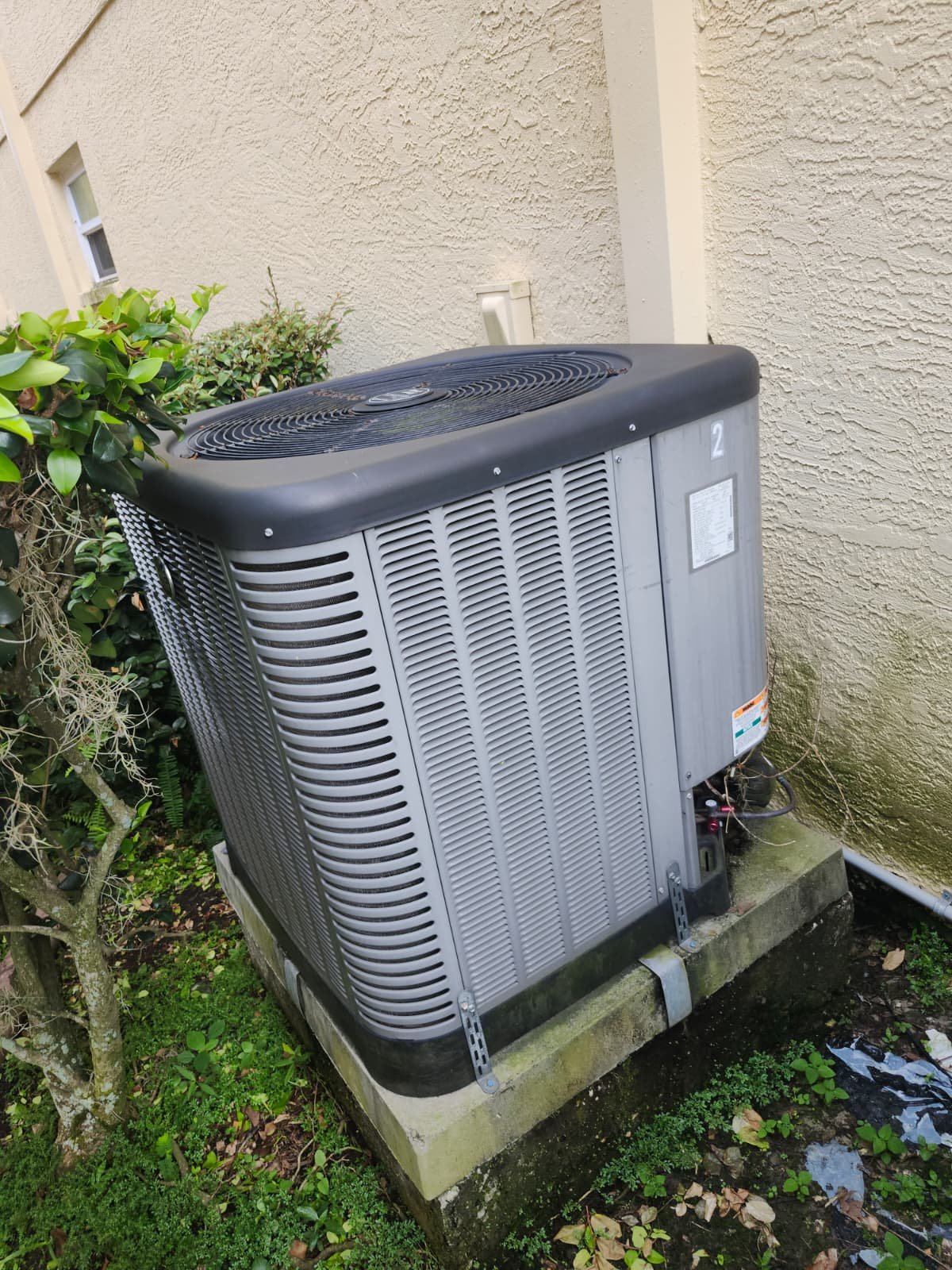 Outdoor AC unit on concrete pad in Tampa, FL 33647 with greenery.