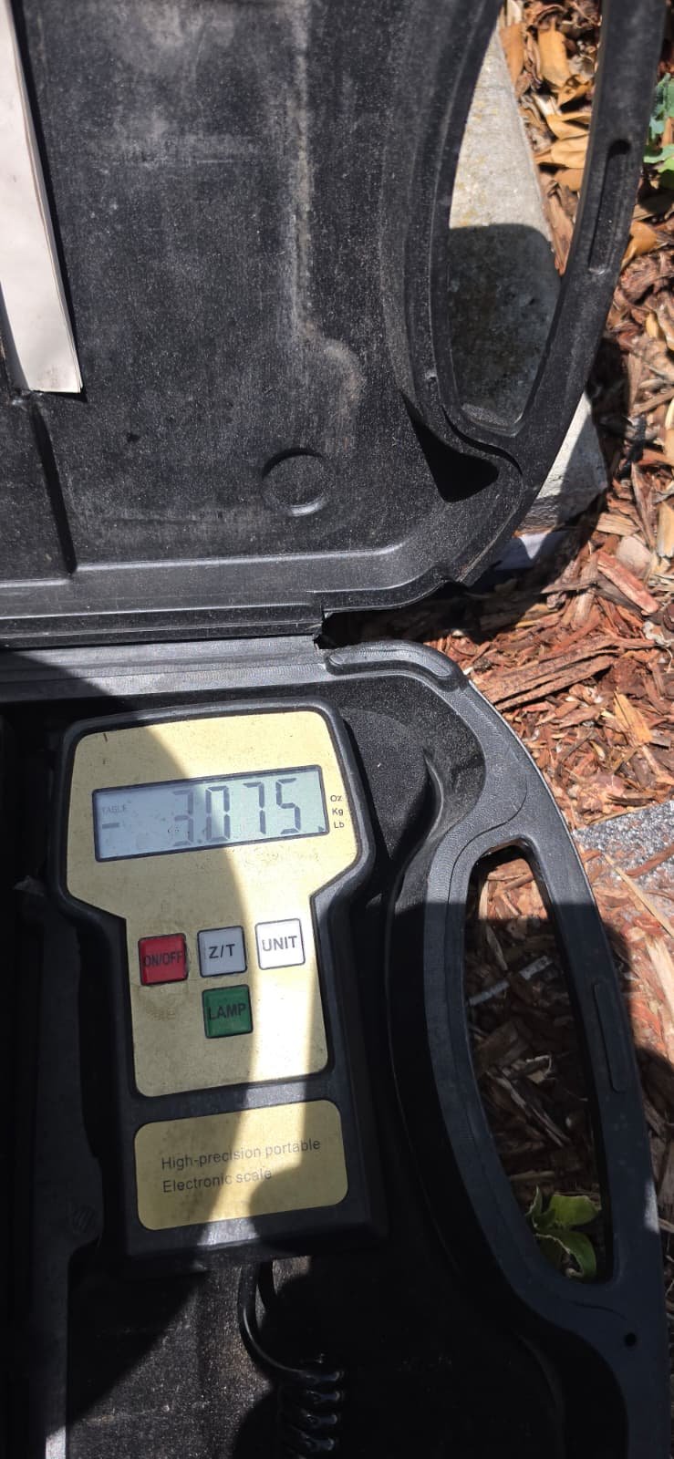 Scale Weight Display - Riverview, FL 33578 Digital scale showing weight measurement in Riverview, FL 33578. System repair Lv. 1 - 3 lbs or less.