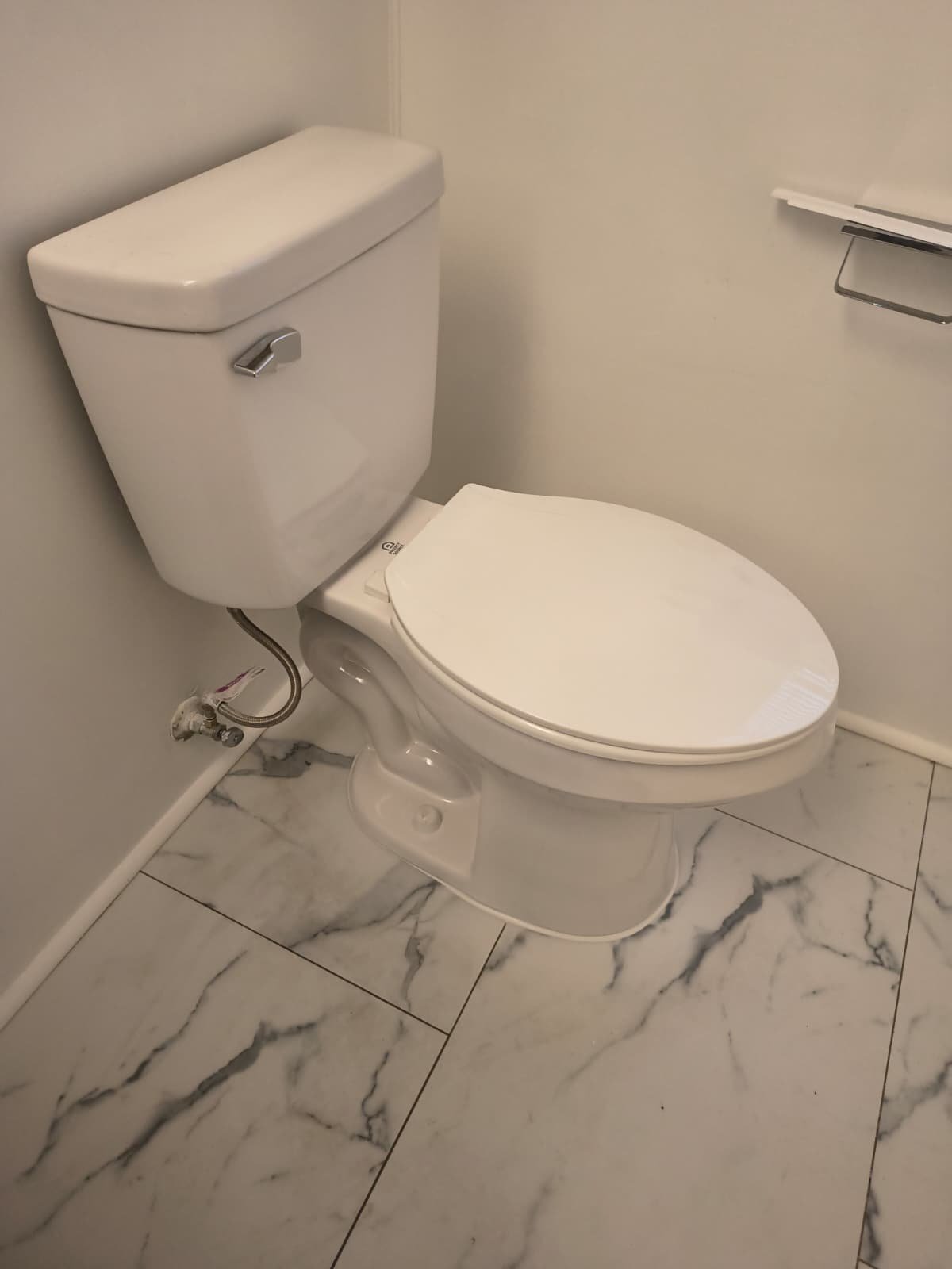 Side view of newly installed toilet in Palm Harbor, FL 34684 bathroom after flange replacement.