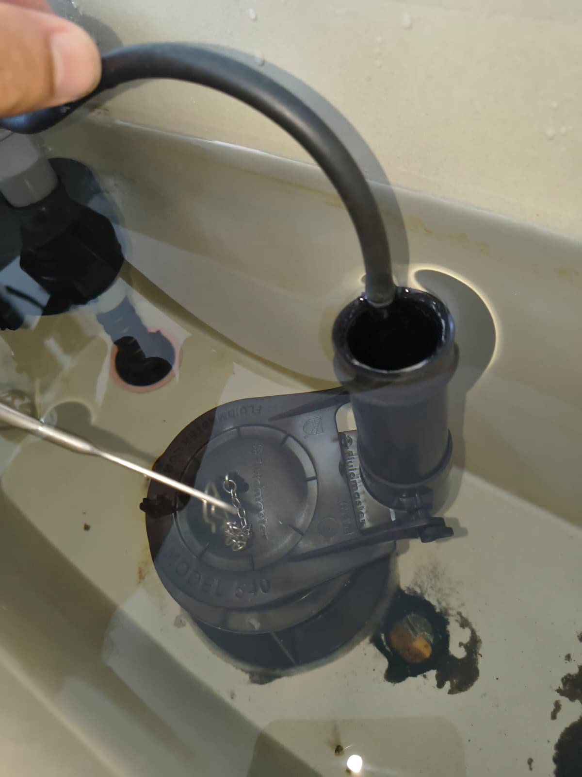 Toilet Fill Valve Adjustment in Brandon, FL 33511 Adjusting toilet fill valve during installation in Brandon, FL 33511.