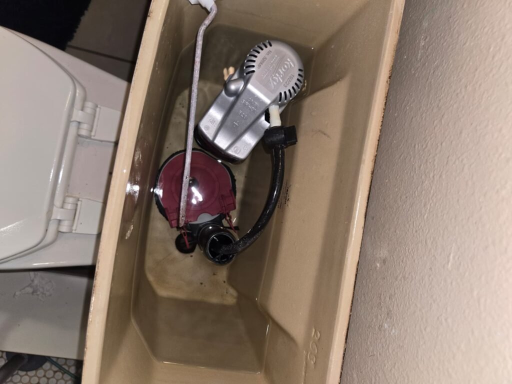 Inside a toilet tank, with the red flapper and the fill valve, in Tampa, FL 33604.