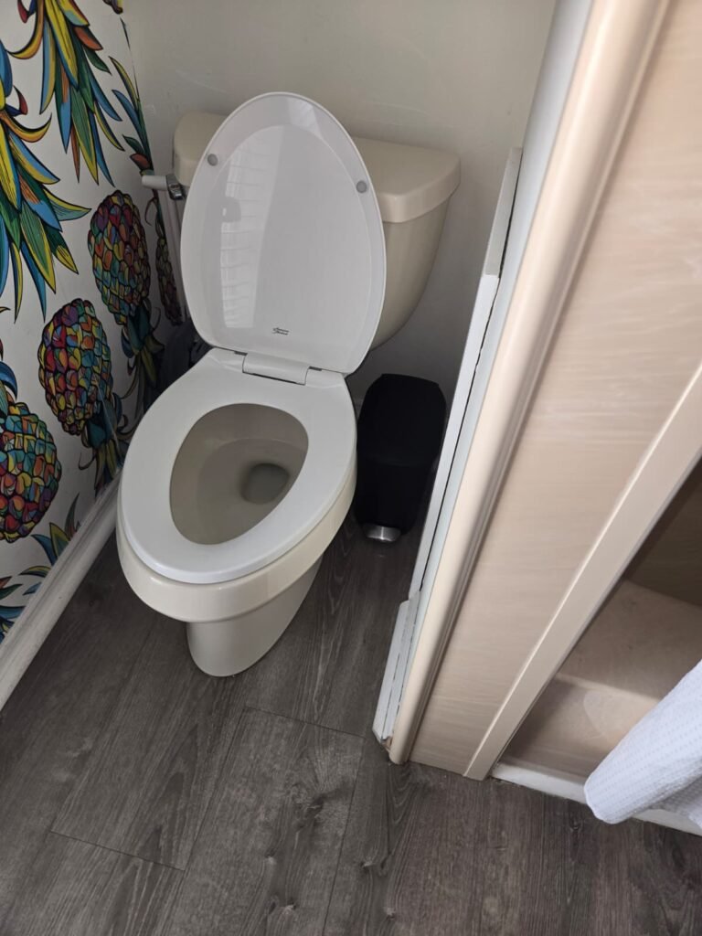 Bathroom Toilet Installation in Seminole, FL 33776 Installed toilet in bathroom with colorful wallpaper, Seminole, FL 33776