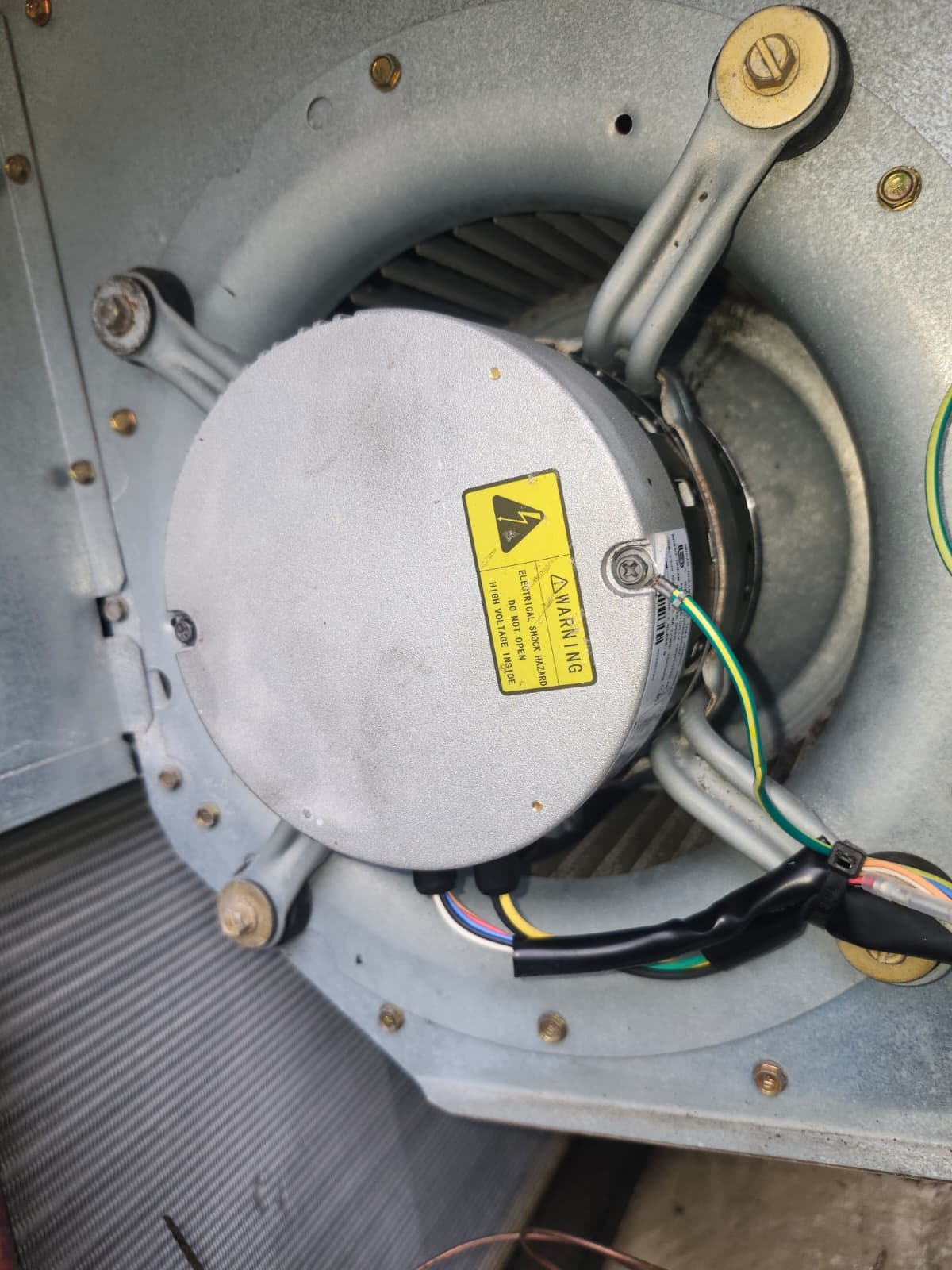 Blower motor inside HVAC unit with warning label visible in Tampa, FL 33618. Replacement complete.