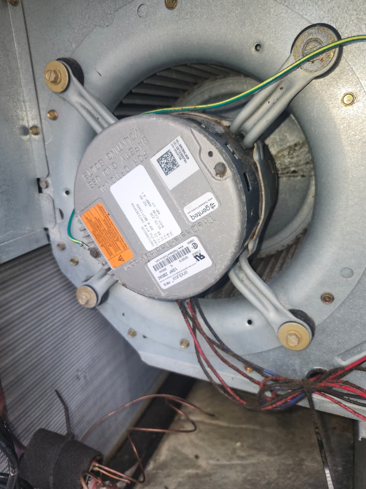 Blower motor with visible wiring installed in HVAC unit in Tampa, FL 33618. Ongoing replacement work.
