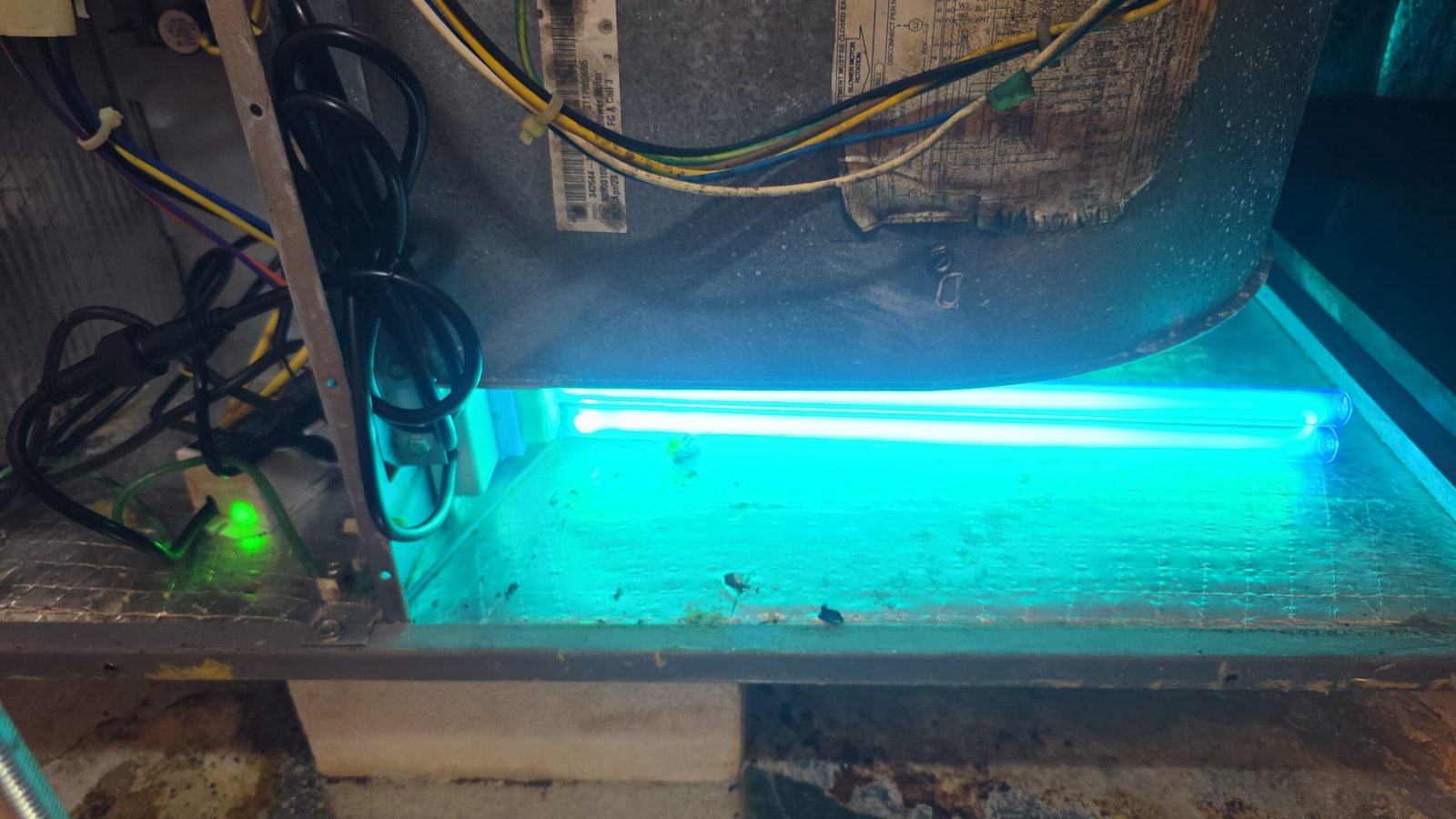 Glowing UV Light in HVAC Unit, New Port Richey, FL 34655 Glowing blue UV light inside HVAC unit for IAQ in New Port Richey, FL 34655.