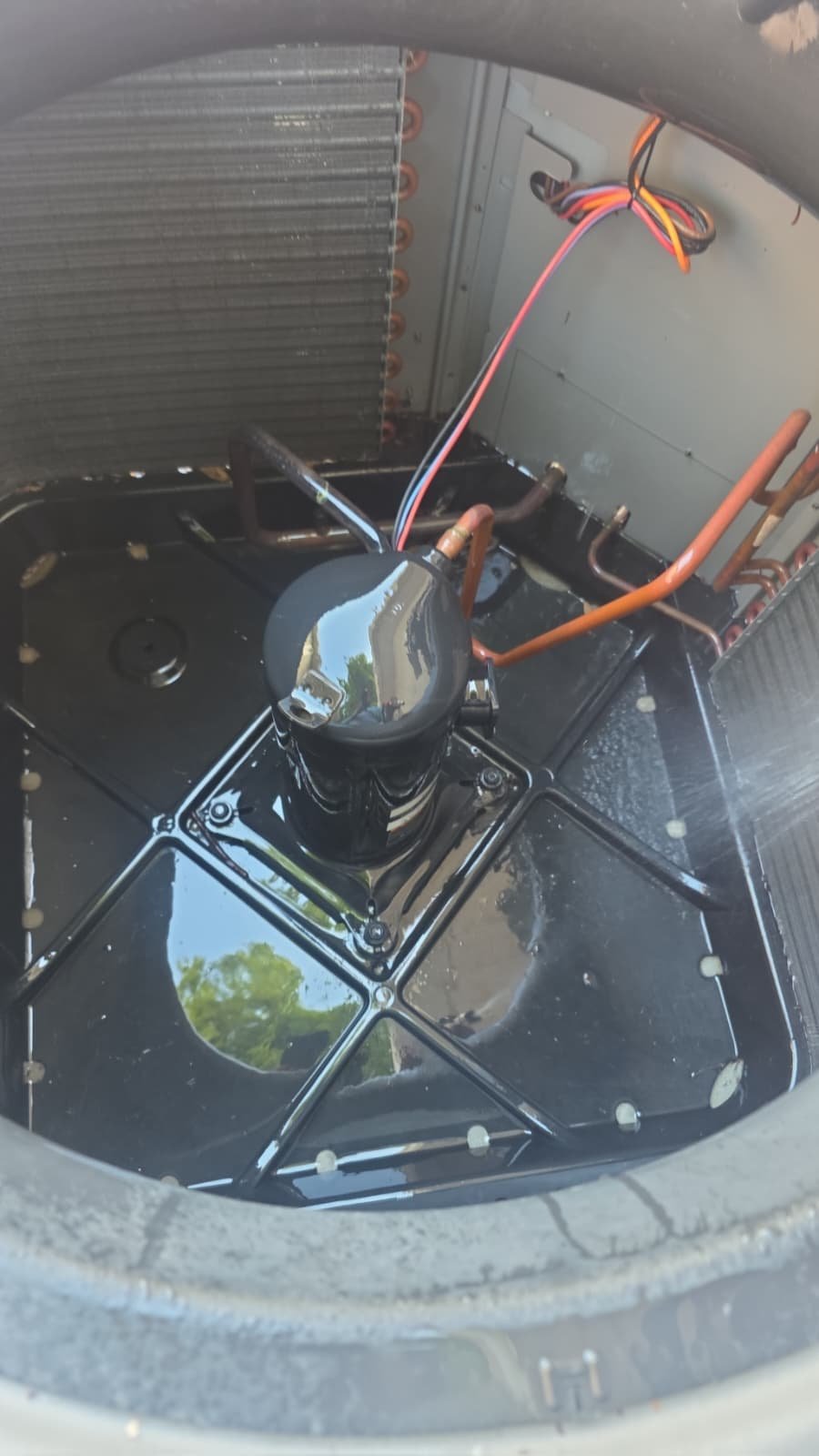 Cleaned Condenser Unit Interior - Tampa, FL 33607 Cleaned condenser unit interior in Tampa, FL 33607. Debris-free.