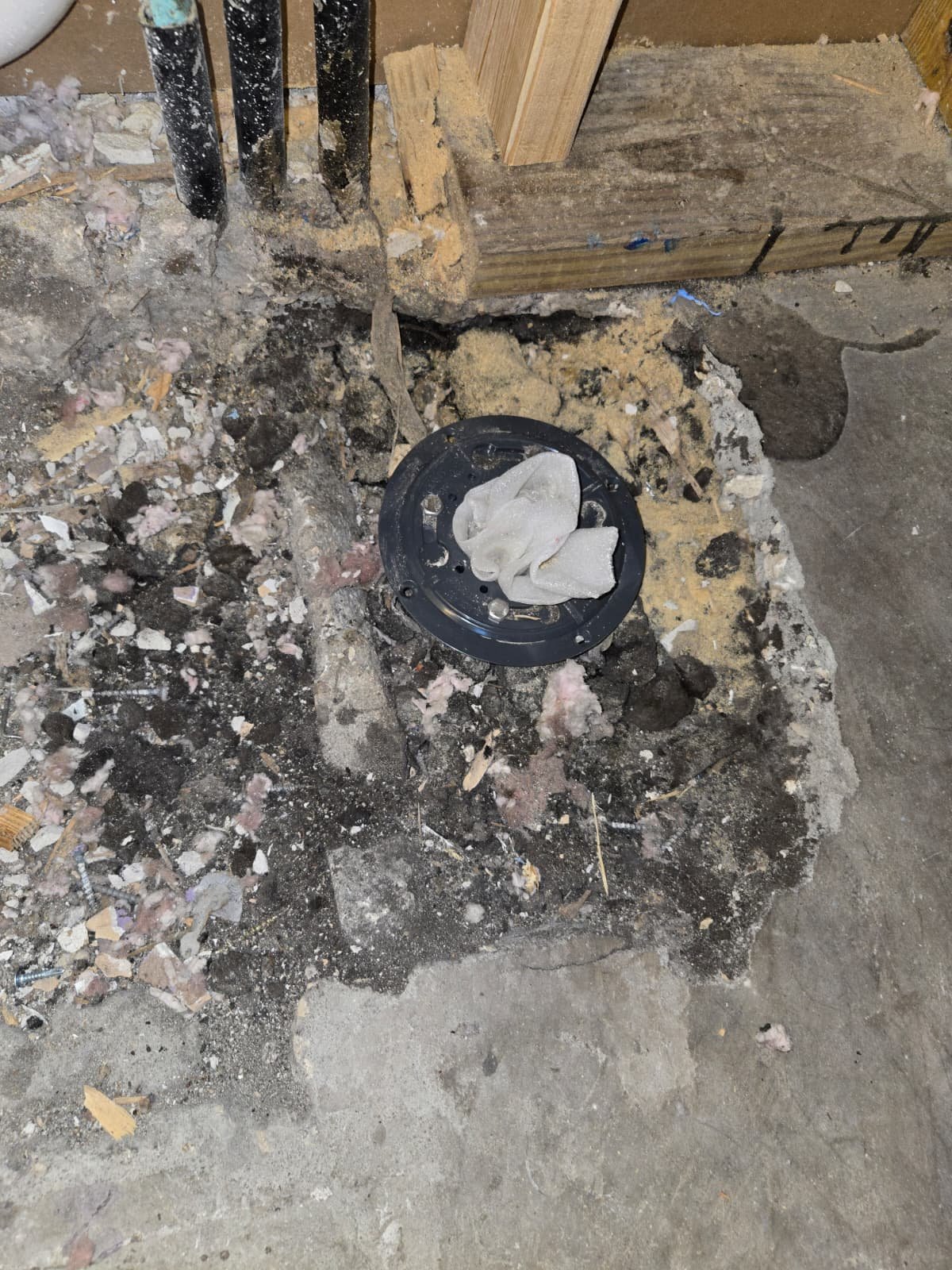 Exposed pipe with debris in Tampa, FL 33624.