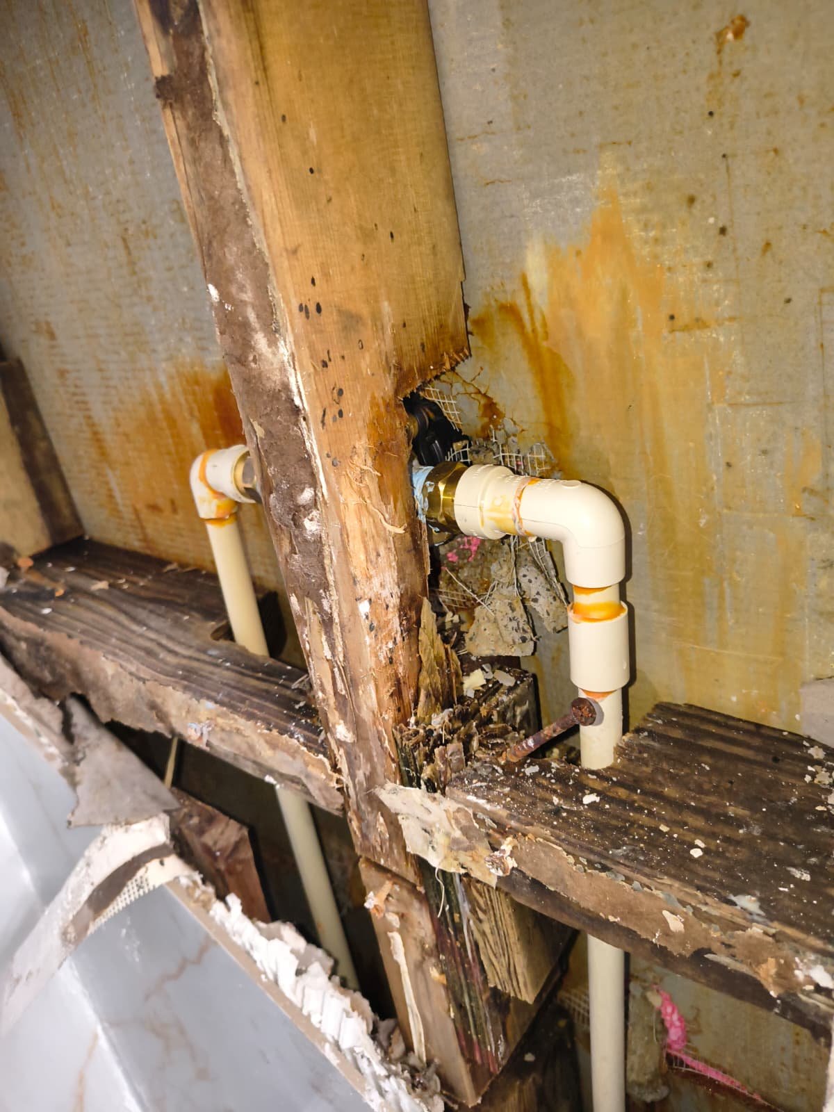 Exposed plumbing with water damage and fittings, Tampa, FL 33603.