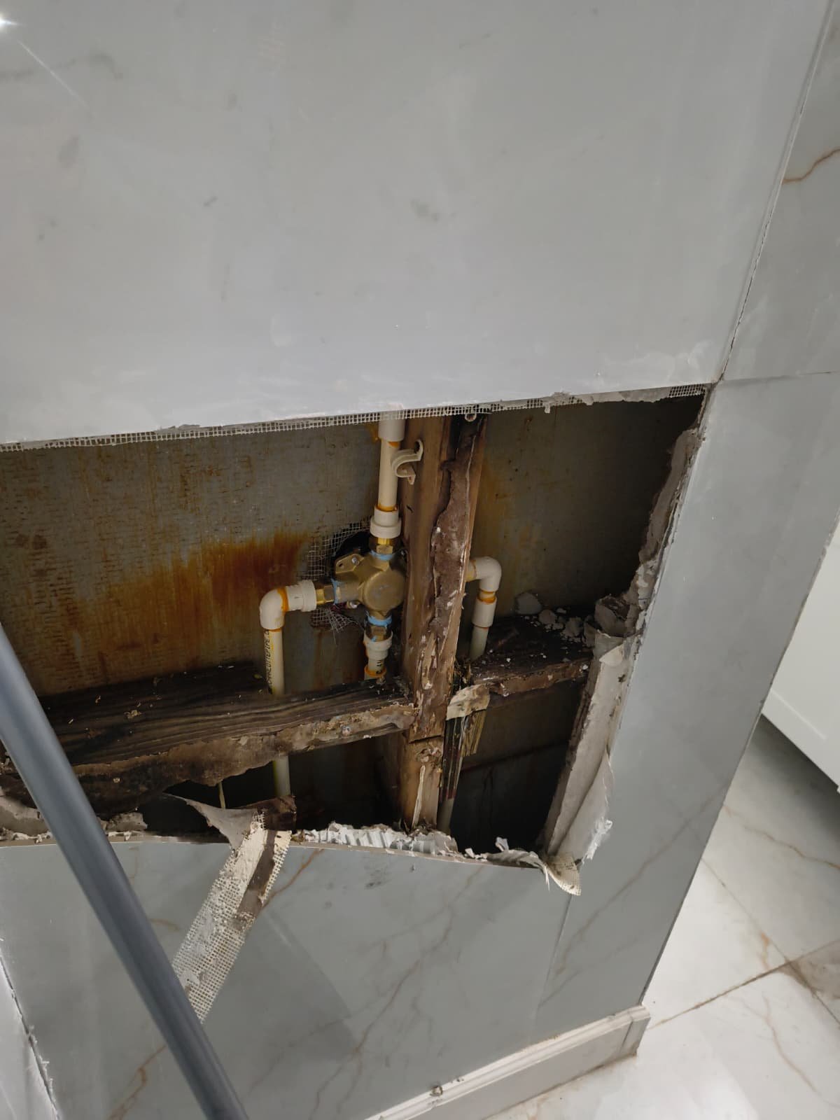 Exposed shower valve and plumbing in wall cutout, Tampa, FL 33603.