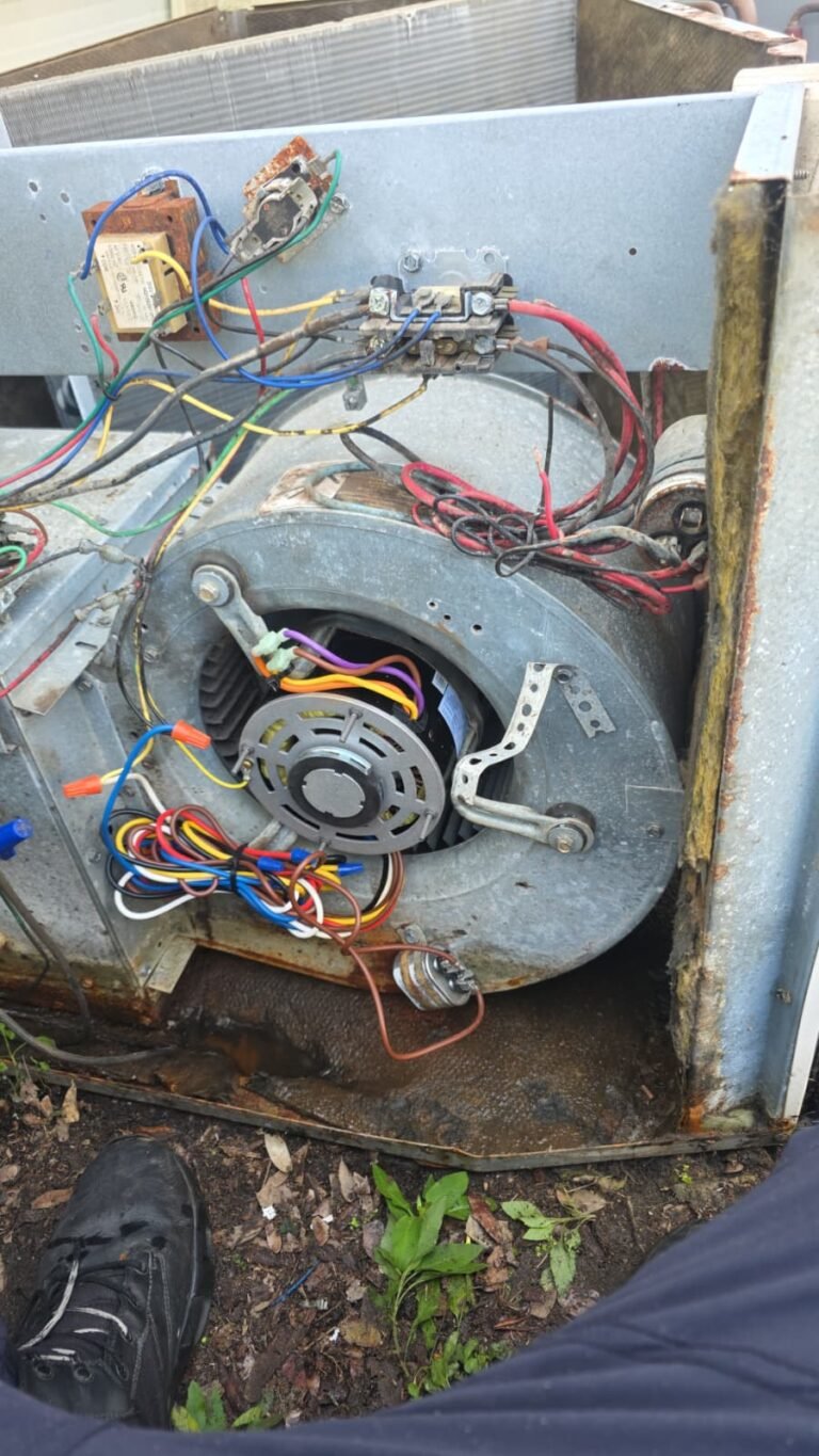 HVAC Blower Motor Installation in Thonotosassa, FL 33592 HVAC blower motor installation in Thonotosassa, FL 33592