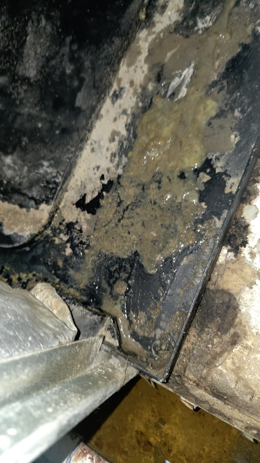 HVAC Interior Surface - Tampa, FL 33614 Dirty and wet interior surface of HVAC equipment, Tampa, FL 33614.