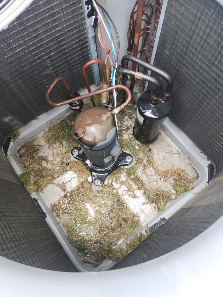 HVAC Unit Interior in Land O' Lakes, FL 34637 Interior view of HVAC unit with debris in Land O' Lakes, FL 34637