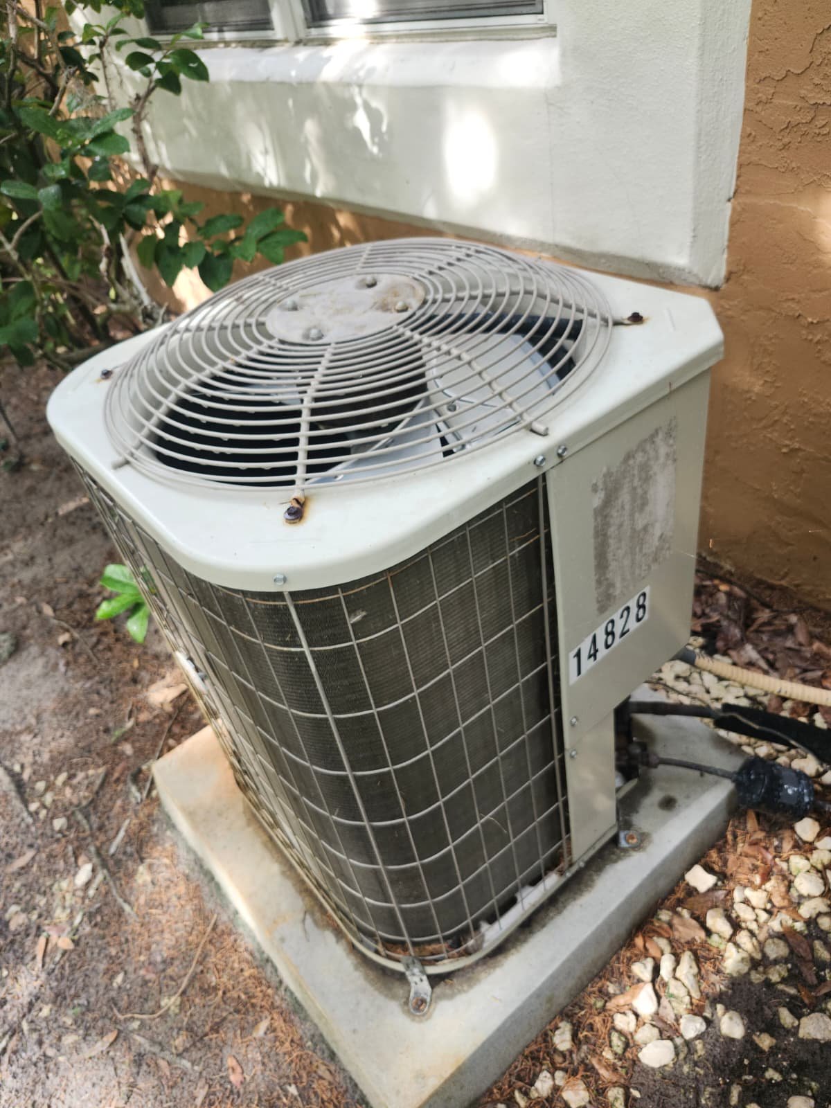 Old outdoor AC unit on concrete pad in Tampa, FL 33618.