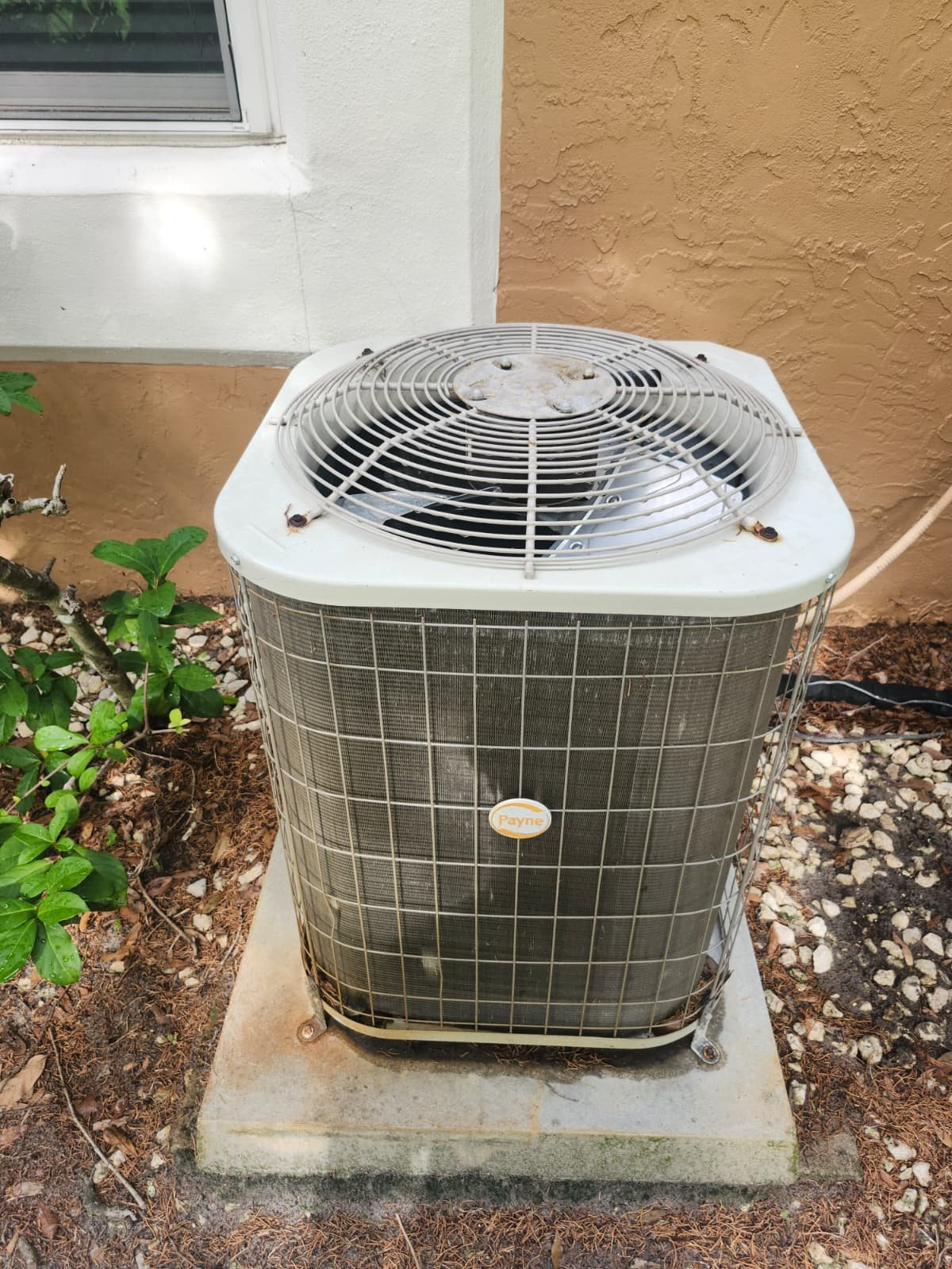 Outdoor AC unit on concrete pad in Tampa, FL 33618.