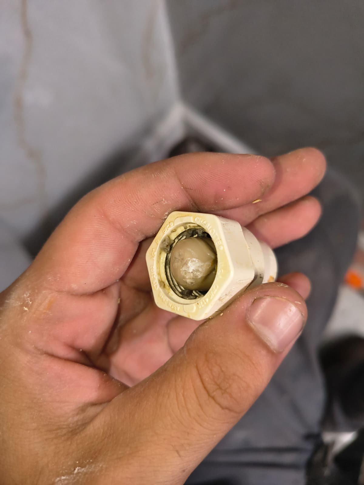 Hand holding a plumbing fitting component, Tampa, FL 33603.