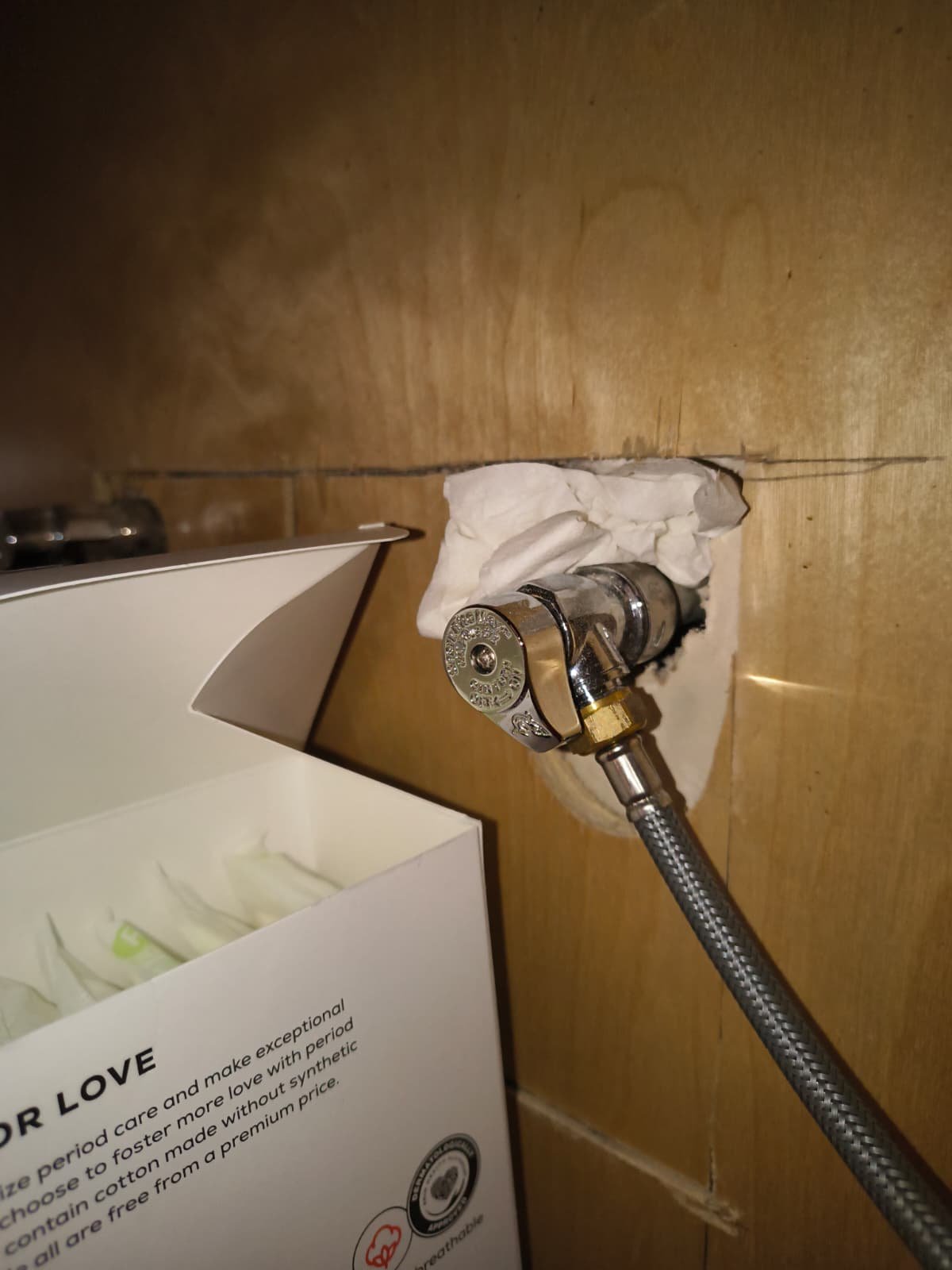 Plumbing fixture with hose connection, Tampa, FL 33609