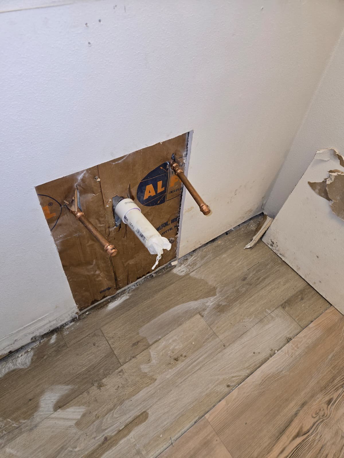 Exposed wall showing plumbing installation in Tampa, FL 33624.