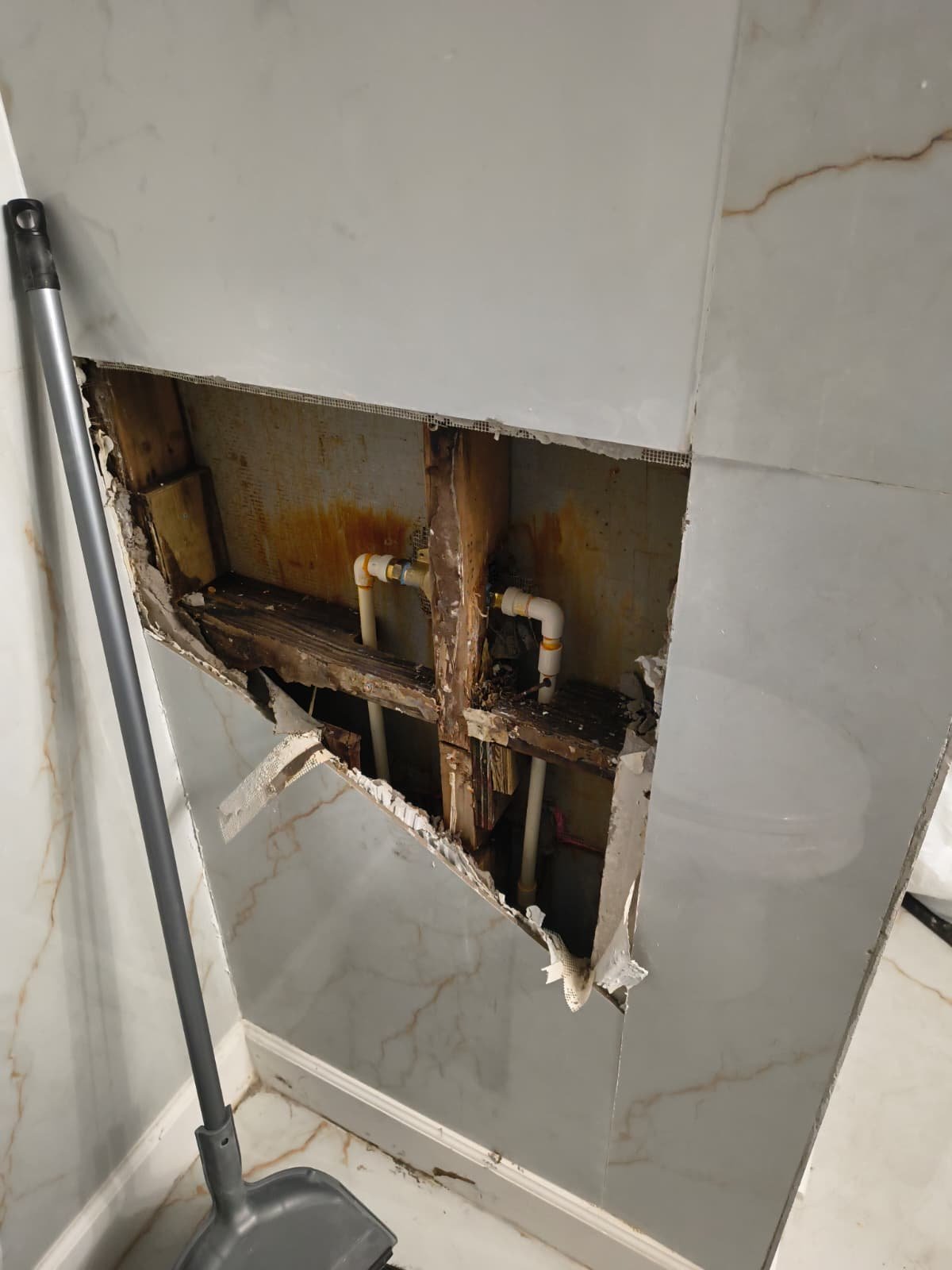 Wall cutout showing plumbing and shower valve, Tampa, FL 33603.