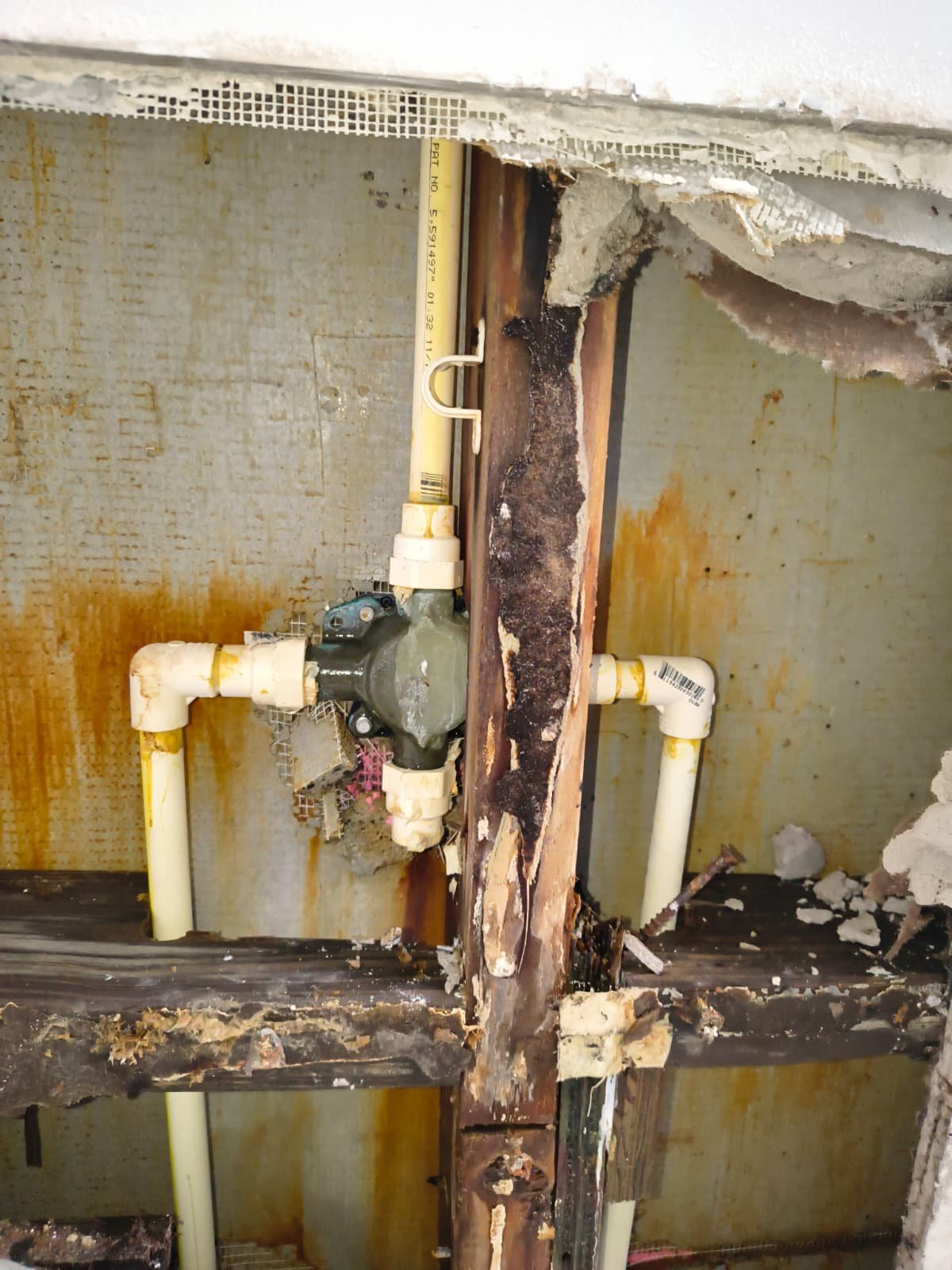 Exposed plumbing with shower valve and water damage, Tampa, FL 33603.