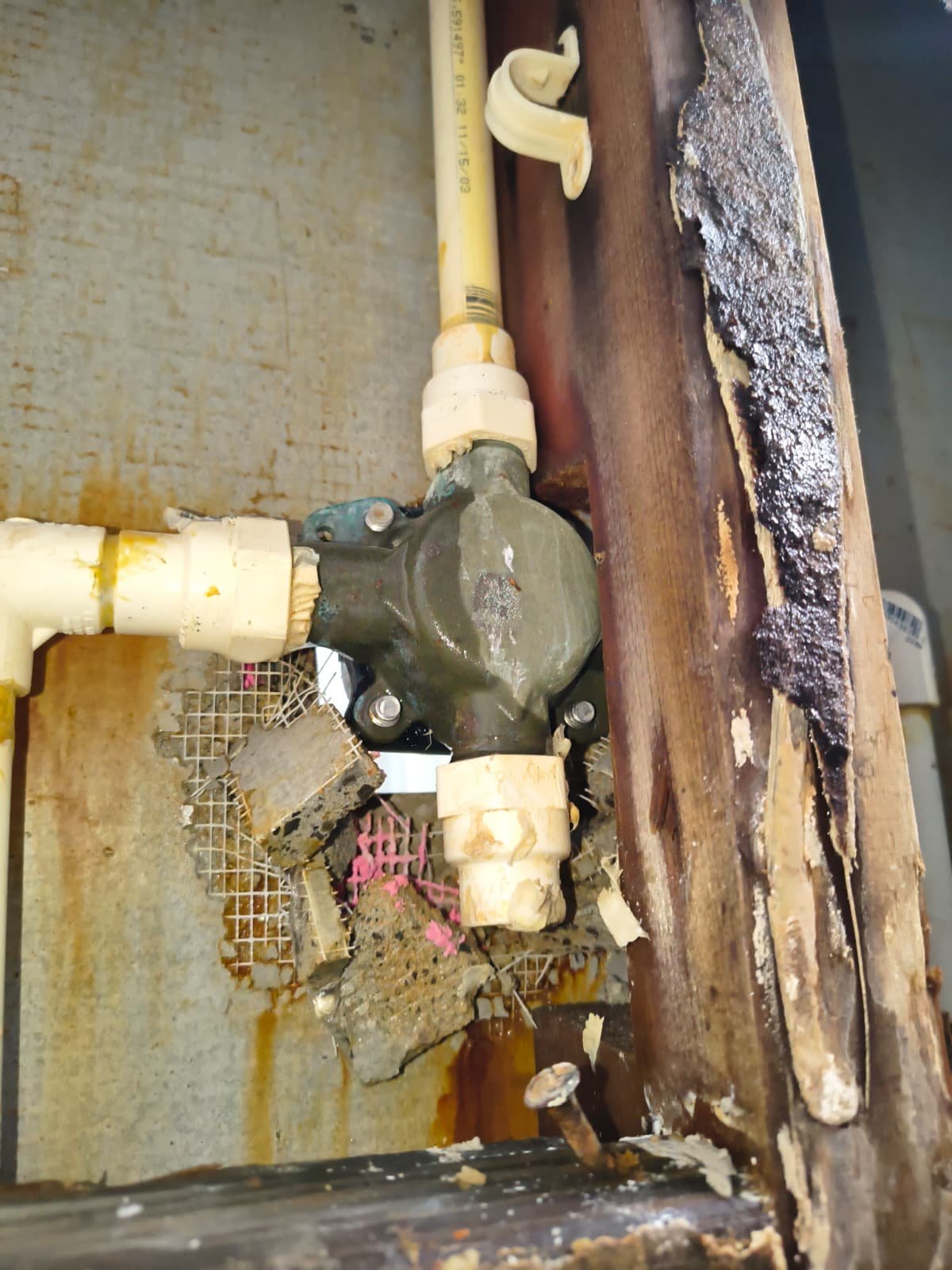 Exposed shower valve with wall damage, Tampa, FL 33603.