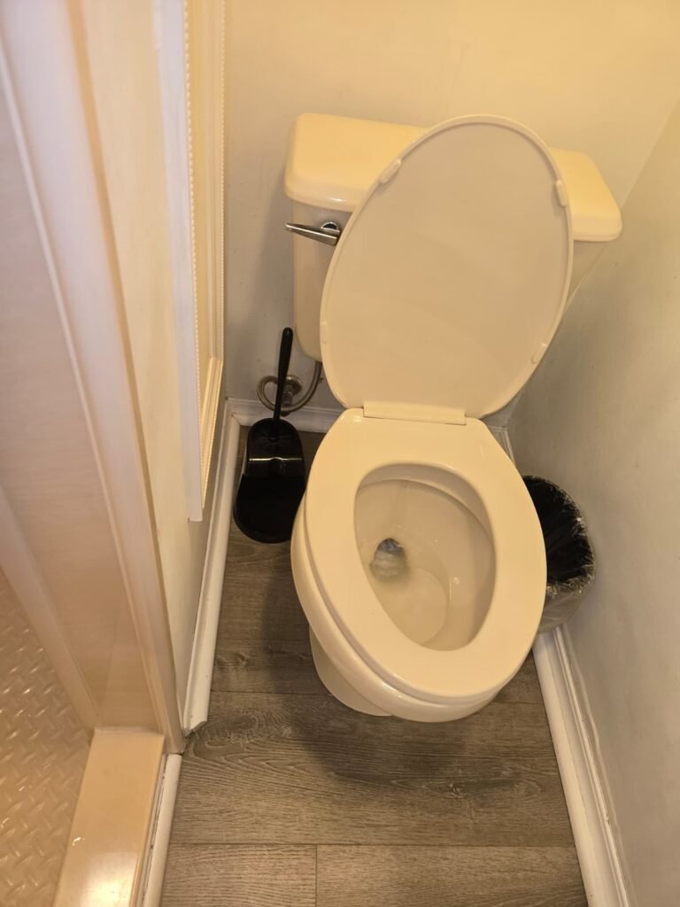 Toilet Inspection in Seminole, FL 33776 Toilet with open lid in Seminole, FL 33776 bathroom