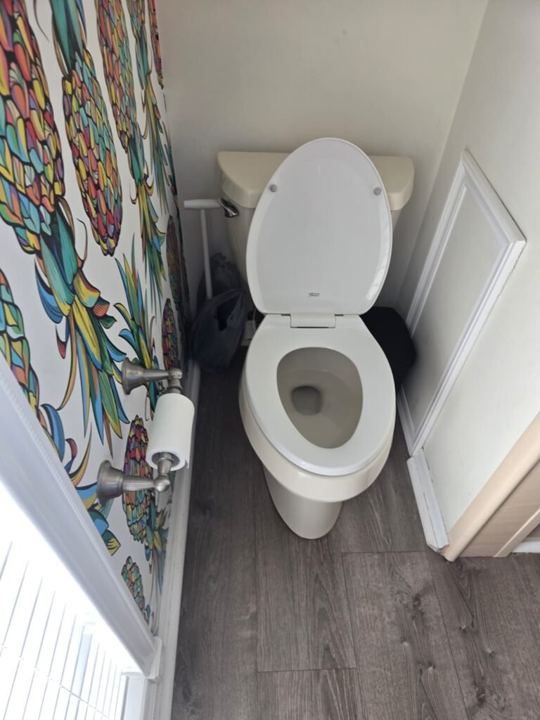 Toilet Setup in Seminole, FL 33776 Installed toilet next to colorful wall in Seminole, FL 33776