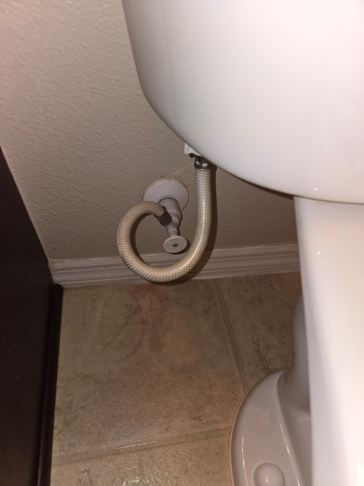 Close-up of toilet water supply line and shut-off valve in Brandon, FL 33511.