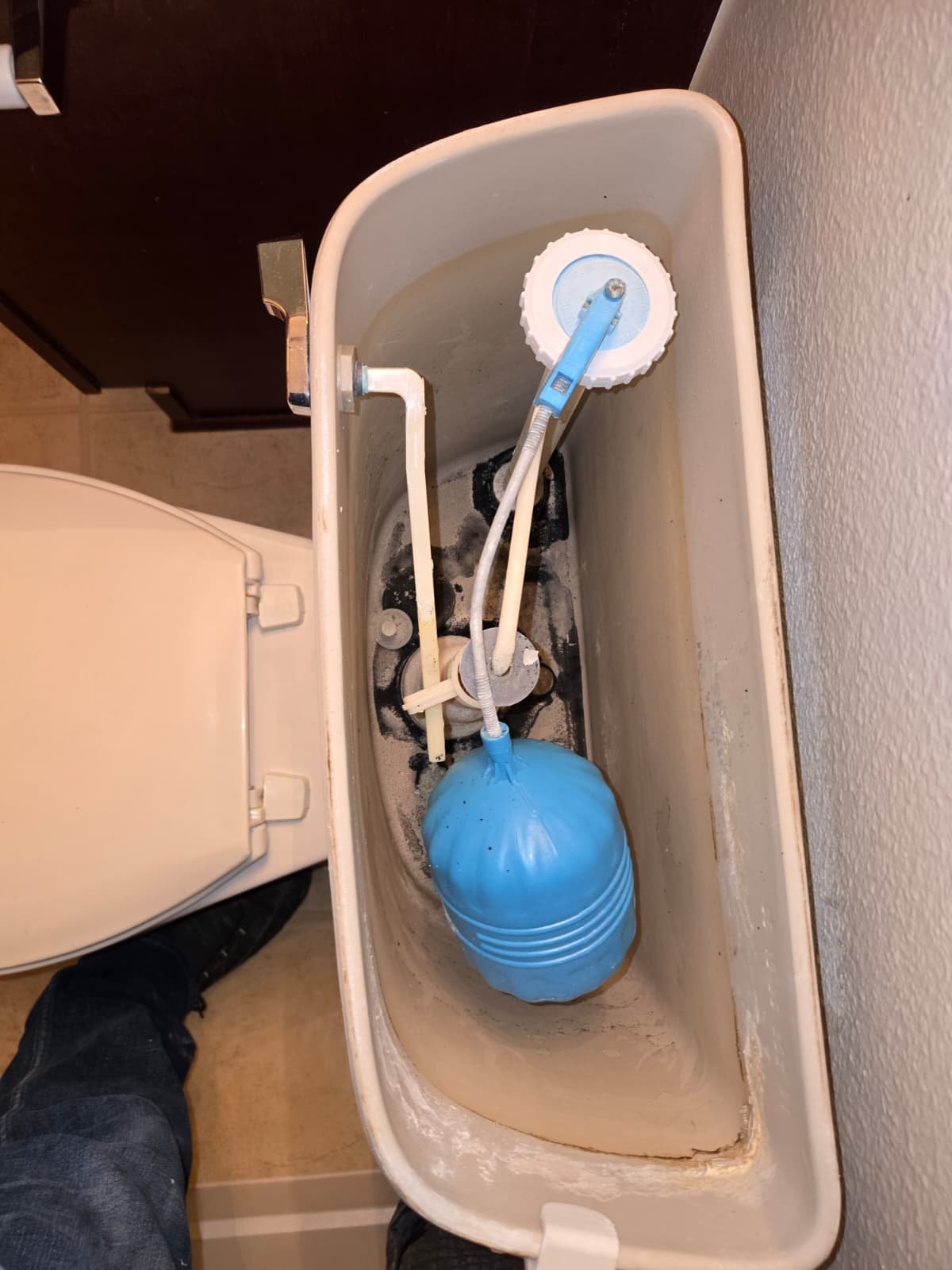 Inside view of toilet tank showing flushing mechanism in Brandon, FL 33511.