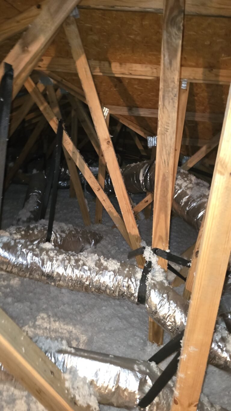 Air ducts in attic space, Tampa, FL 33611