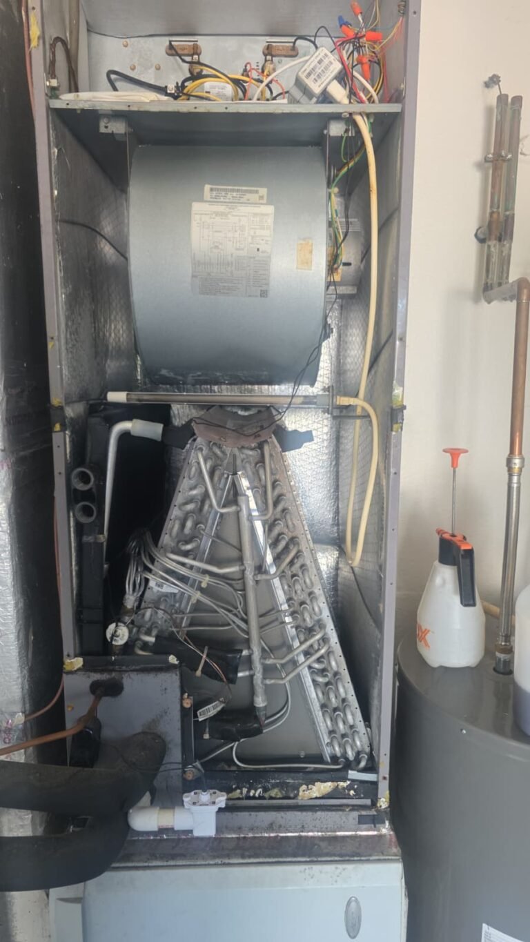 Air Handler Components in Palm Harbor, FL 34683 Air handler internal components in Palm Harbor, FL 34683