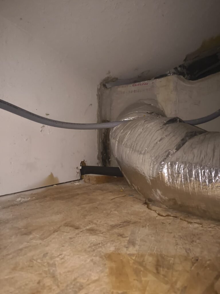 Attic inspection showing ductwork and water damage, Tampa, FL 33635