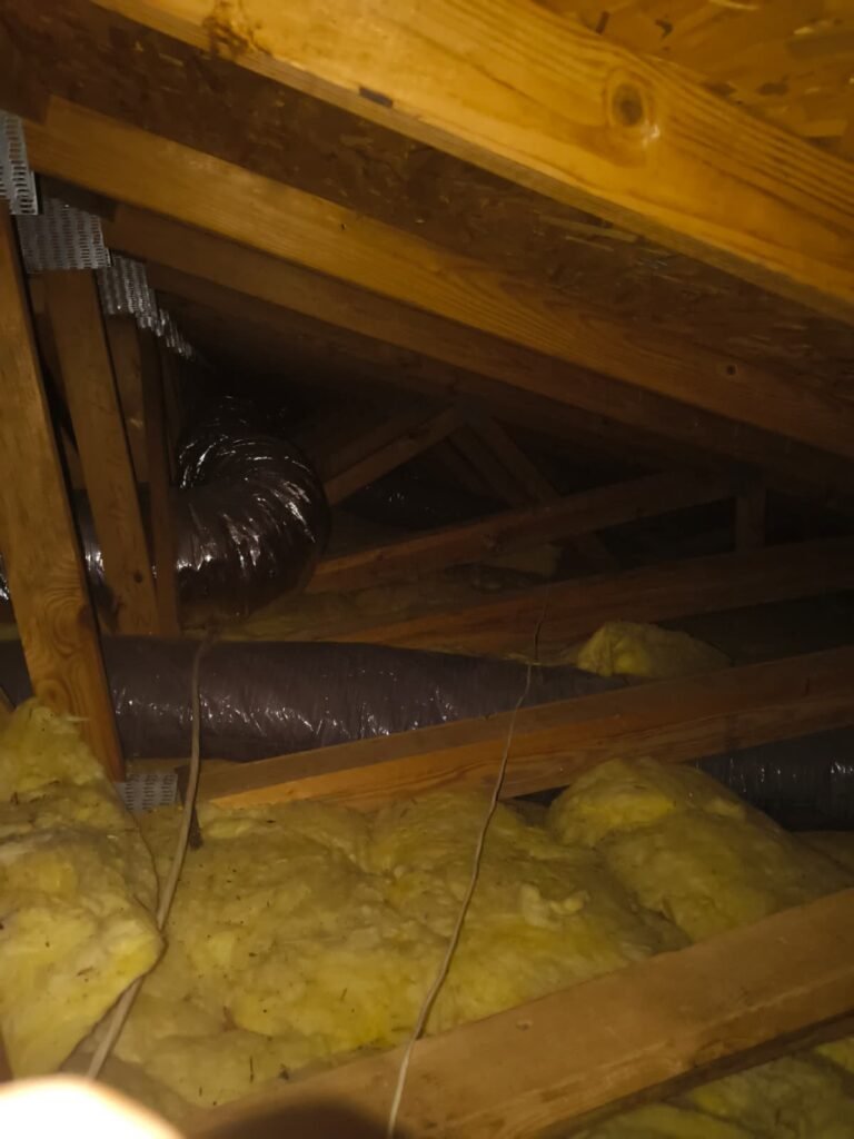 Attic space with insulation and ductwork, Tampa, FL 33635