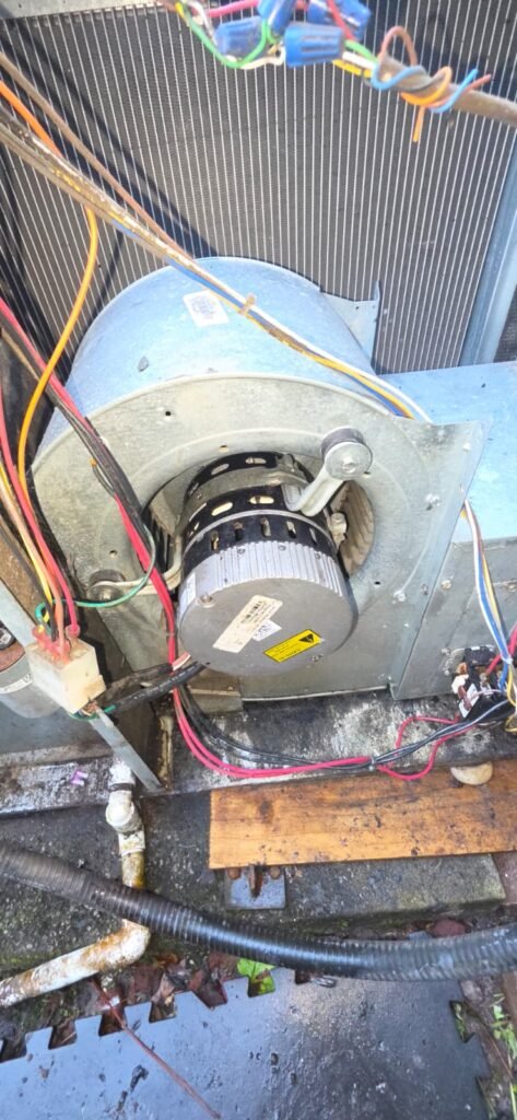Blower Motor Detail in Spring Hill, FL 34610 Blower motor detail inside HVAC unit in Spring Hill, FL 34610