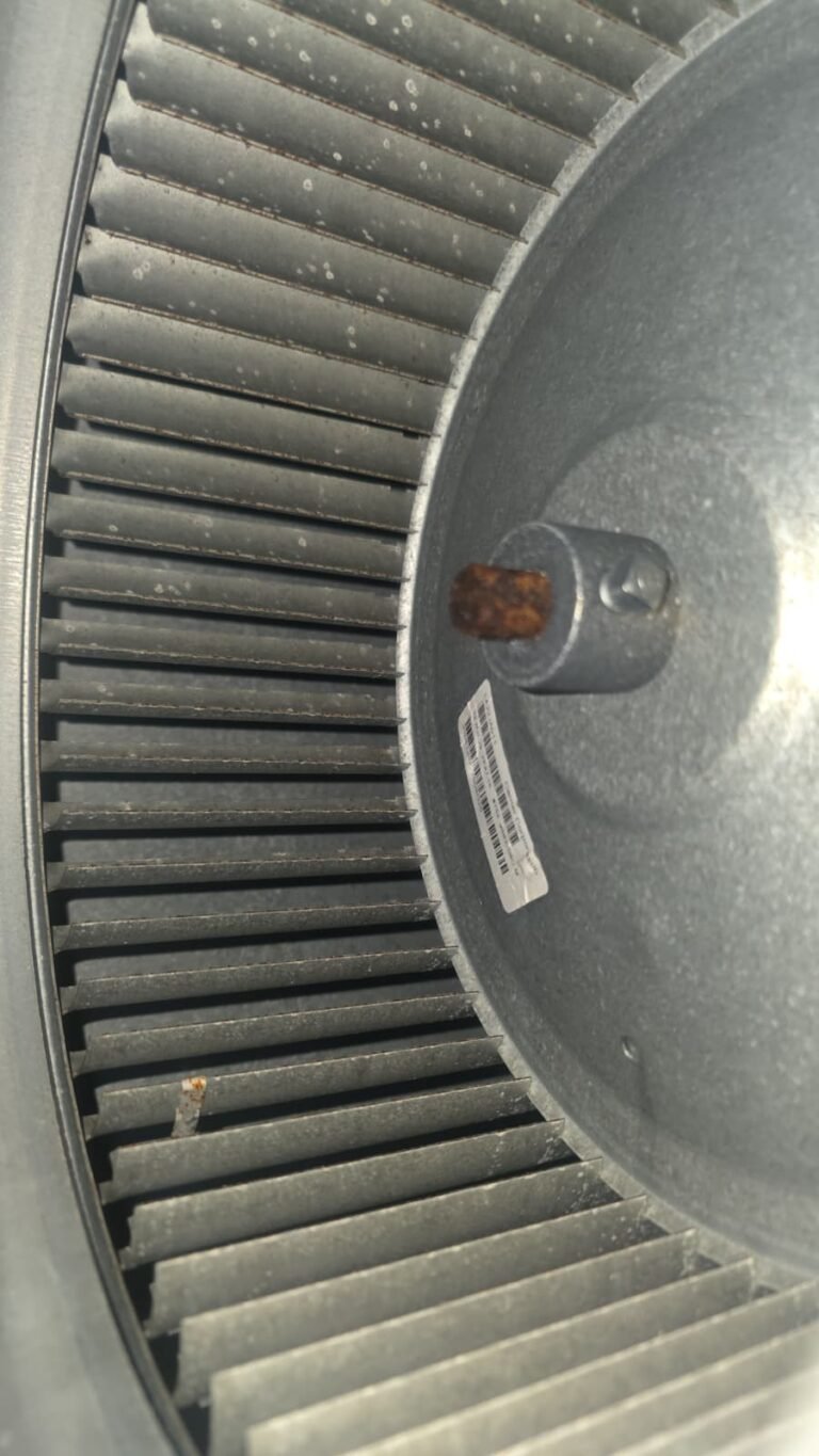Blower Wheel in Air Handler in Palm Harbor, FL 34683 Blower wheel in air handler in Palm Harbor, FL 34683