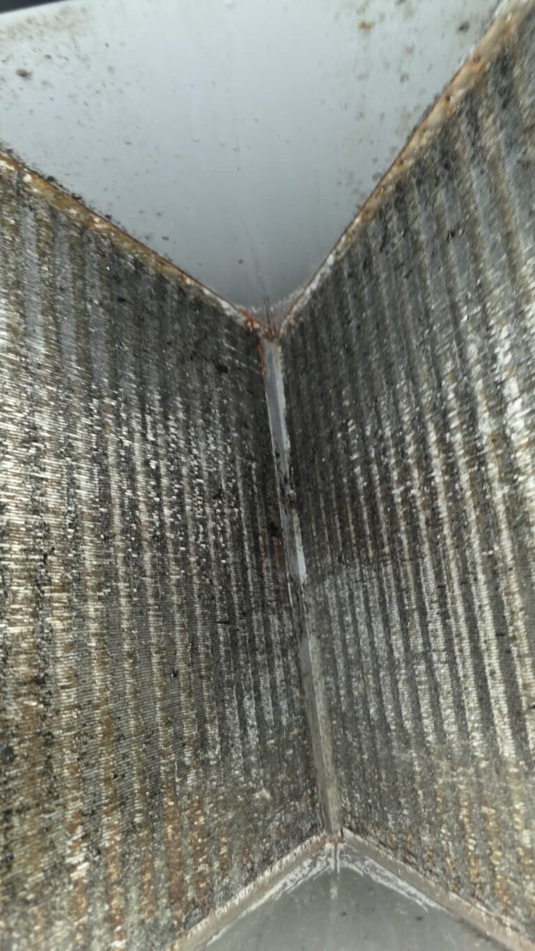 Dirty HVAC Coil in Wesley Chapel, FL 33543 Dirty HVAC coil inside unit in Wesley Chapel, FL 33543