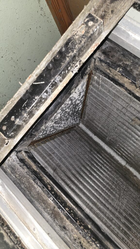 Dust and buildup inside an air handler cabinet in Tampa, FL 33611.
