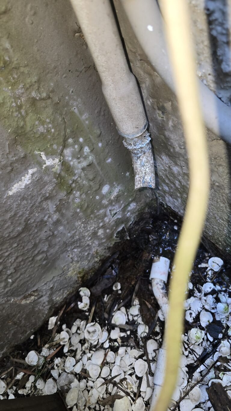 Drain line detail with moisture in St. Petersburg, FL 33705