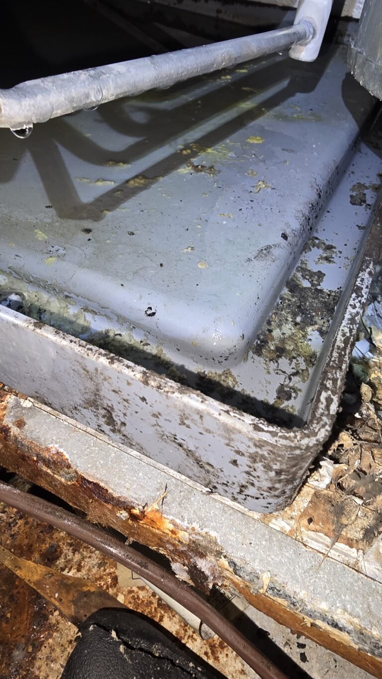 Drain pan with water during HVAC service in St. Petersburg, FL 33705