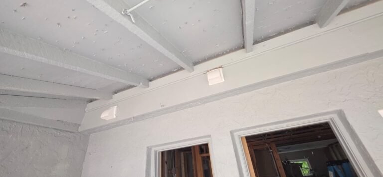 Exhaust fan vent on an exterior wall in Lutz, FL 33559